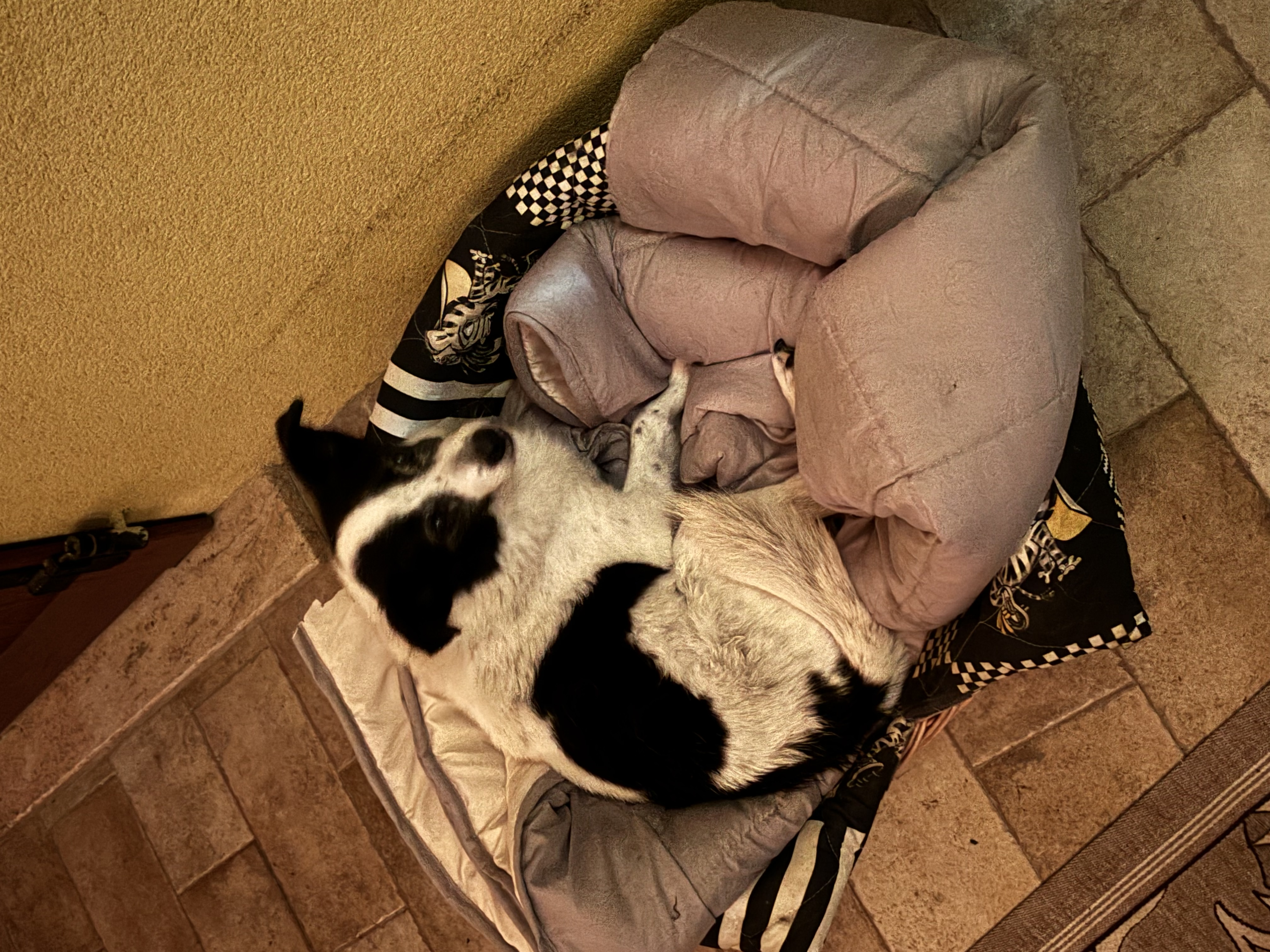 image-16