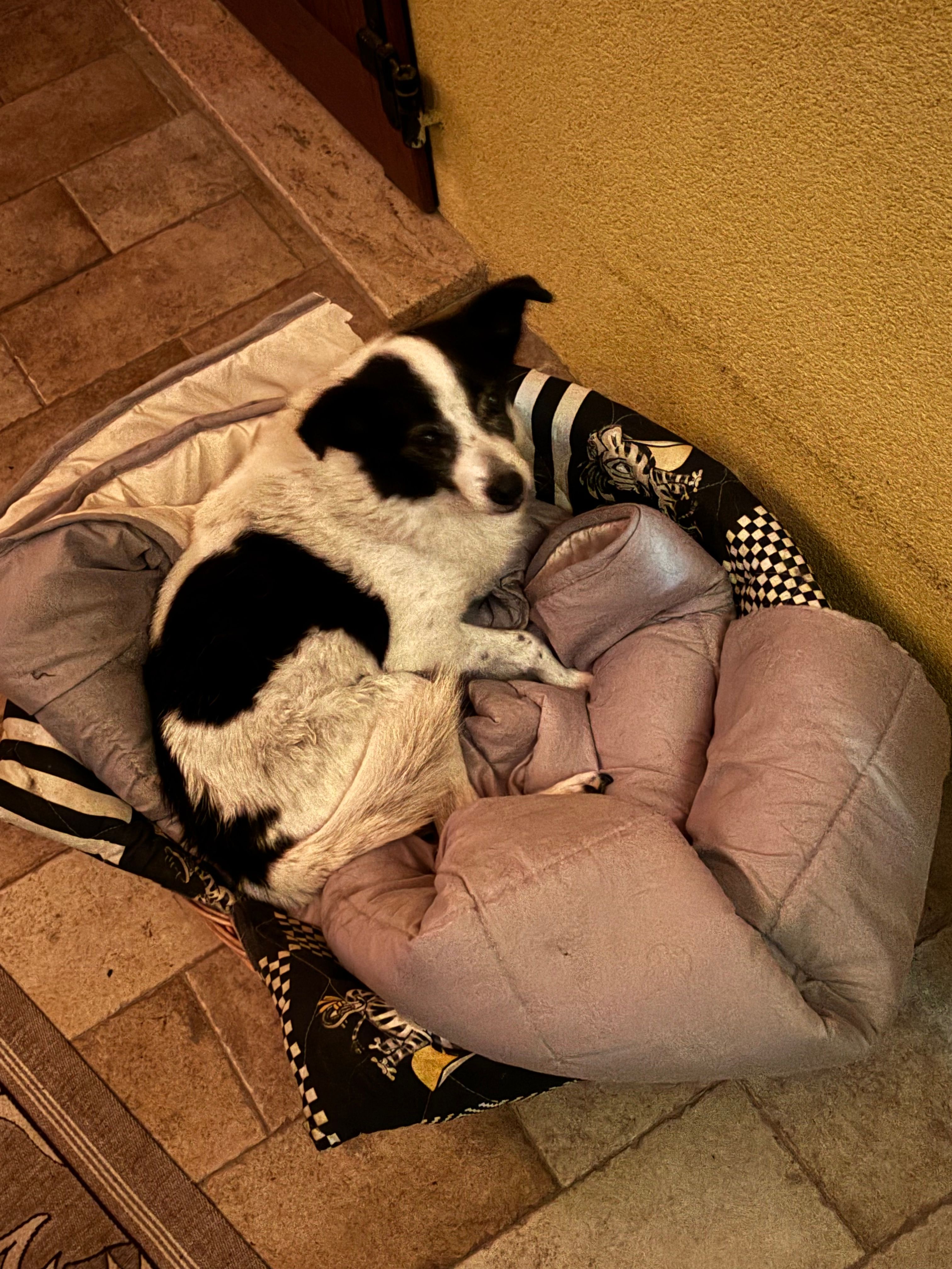 image-16