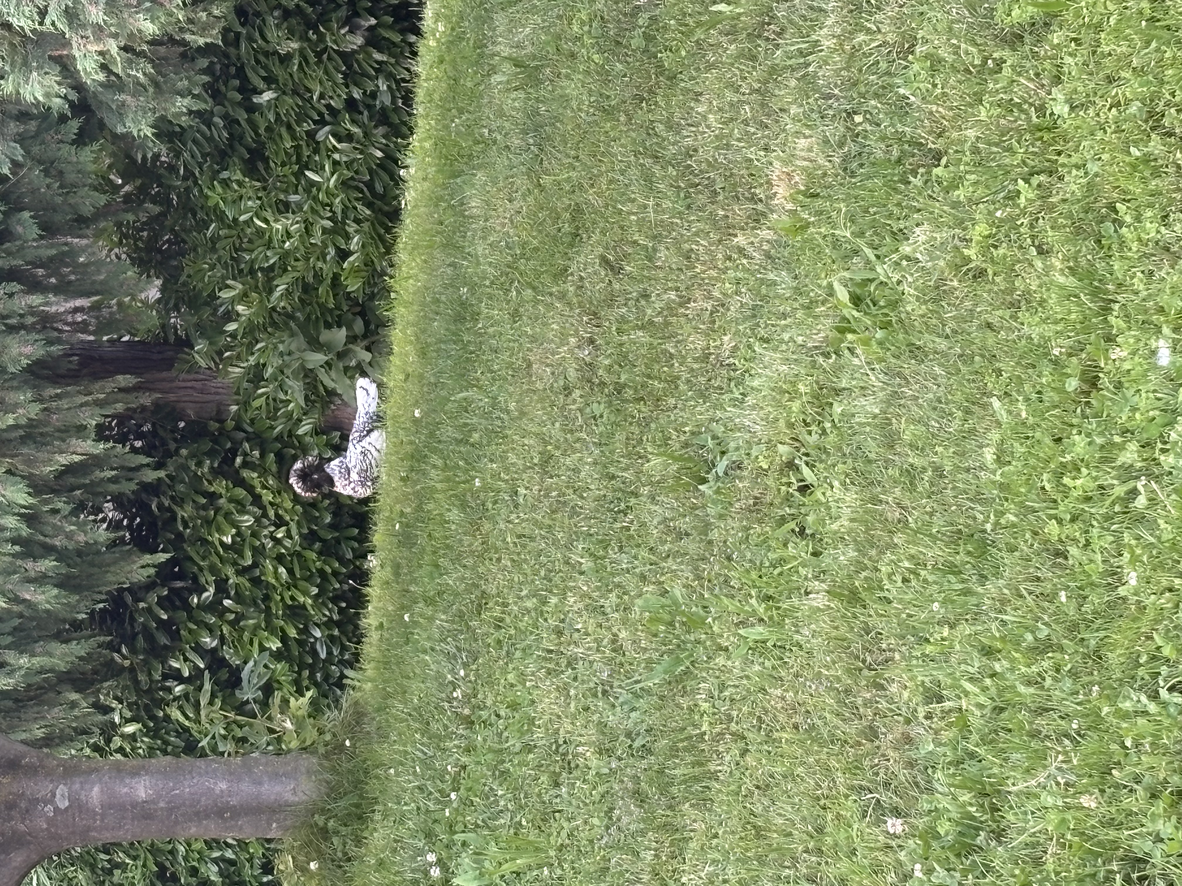 image-15