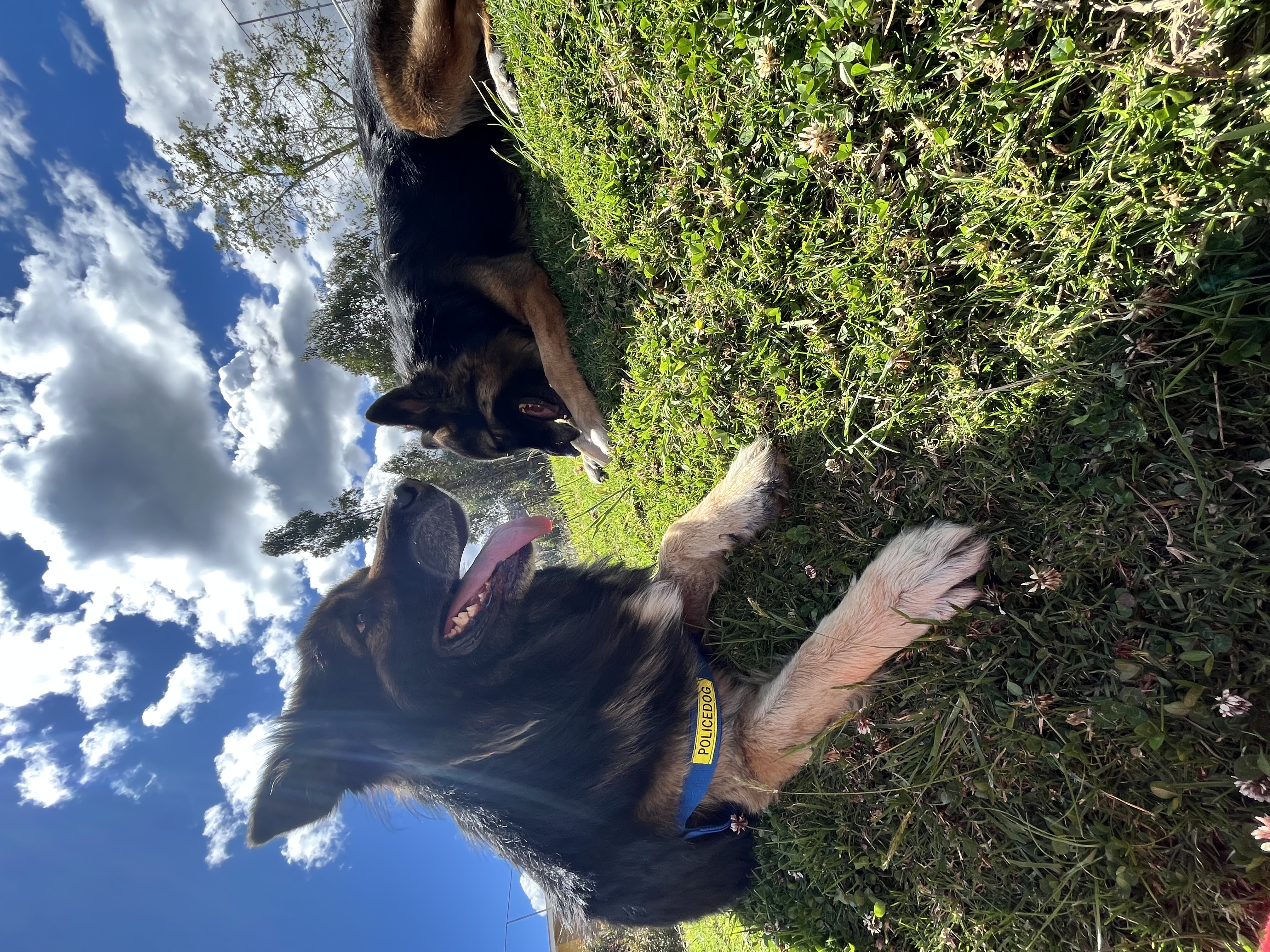image-16