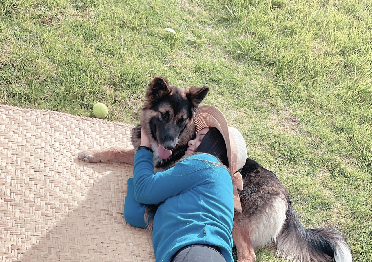 image-6