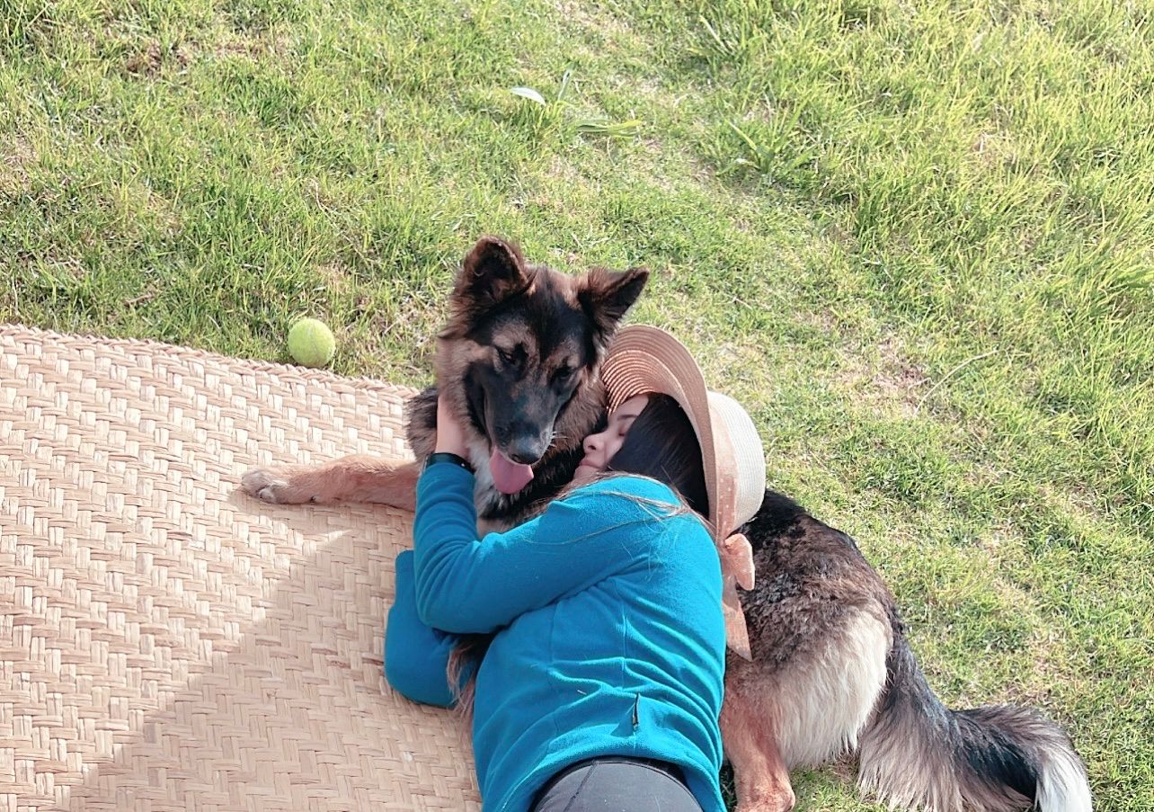 image-6