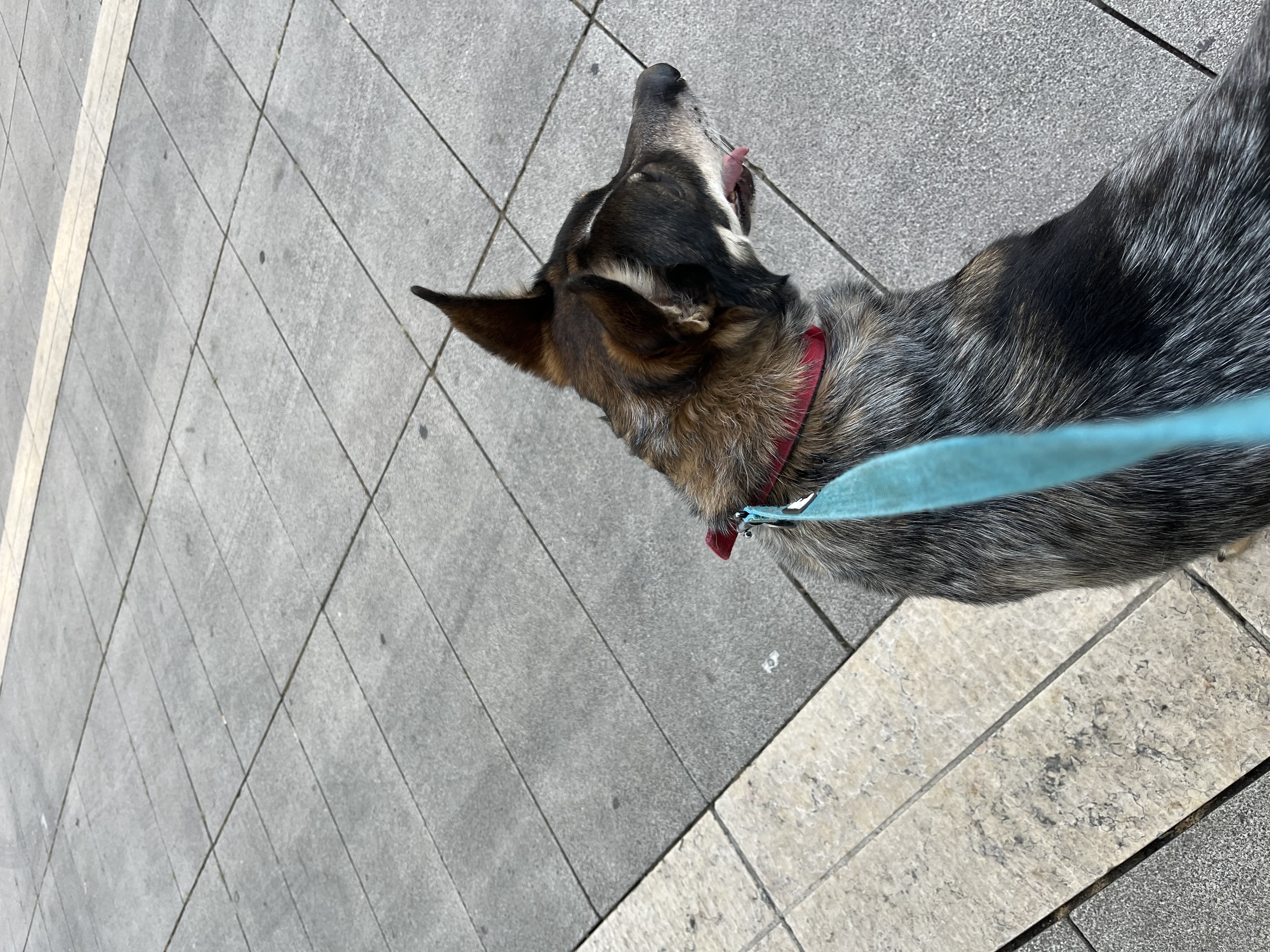 image-14