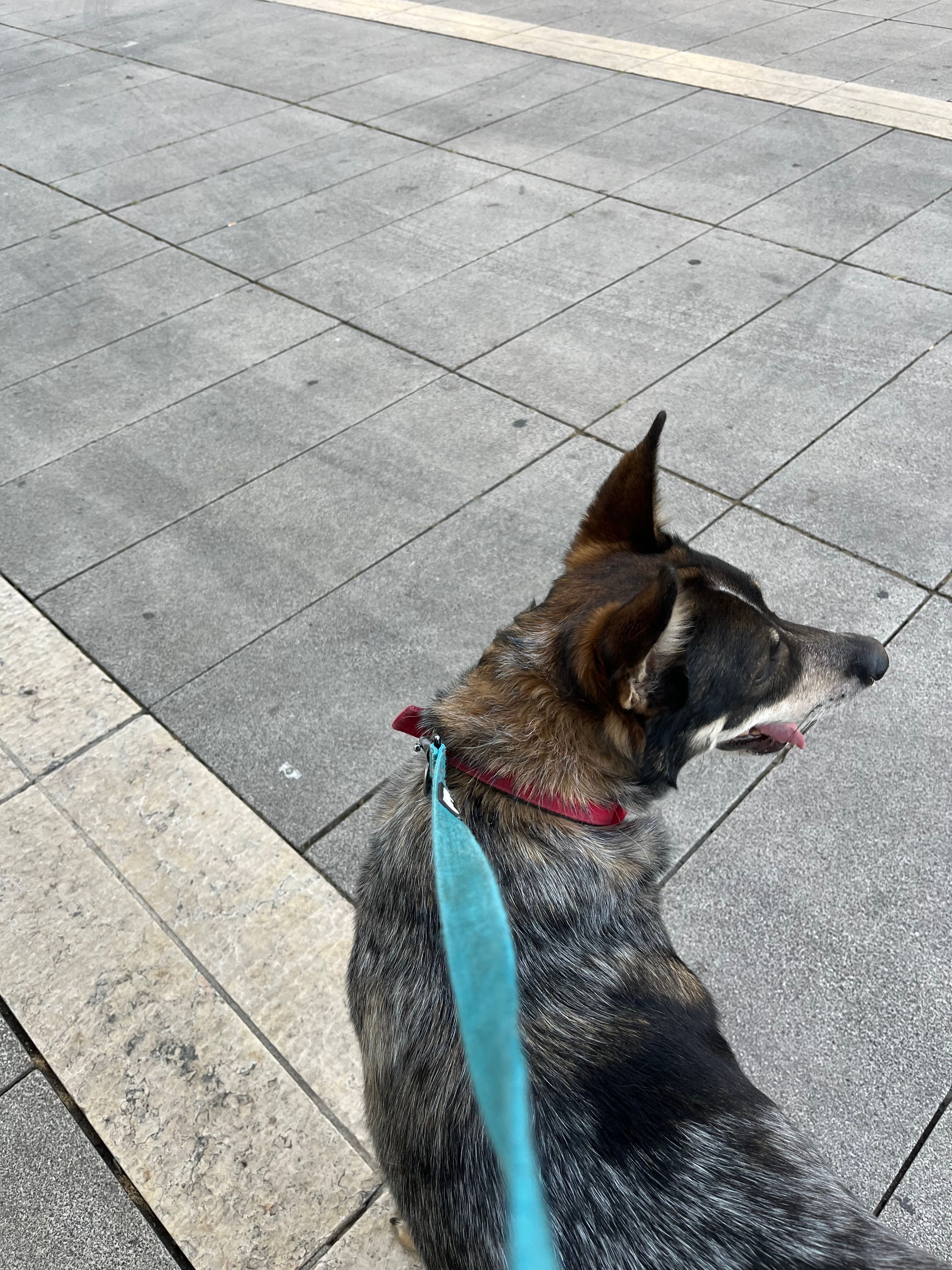 image-14