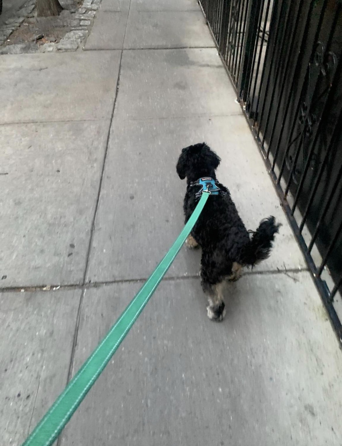 image-11