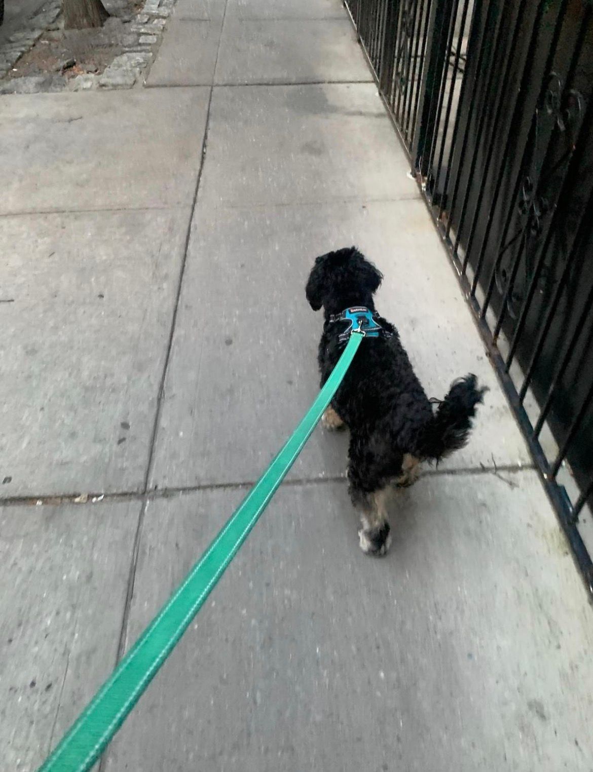 image-11