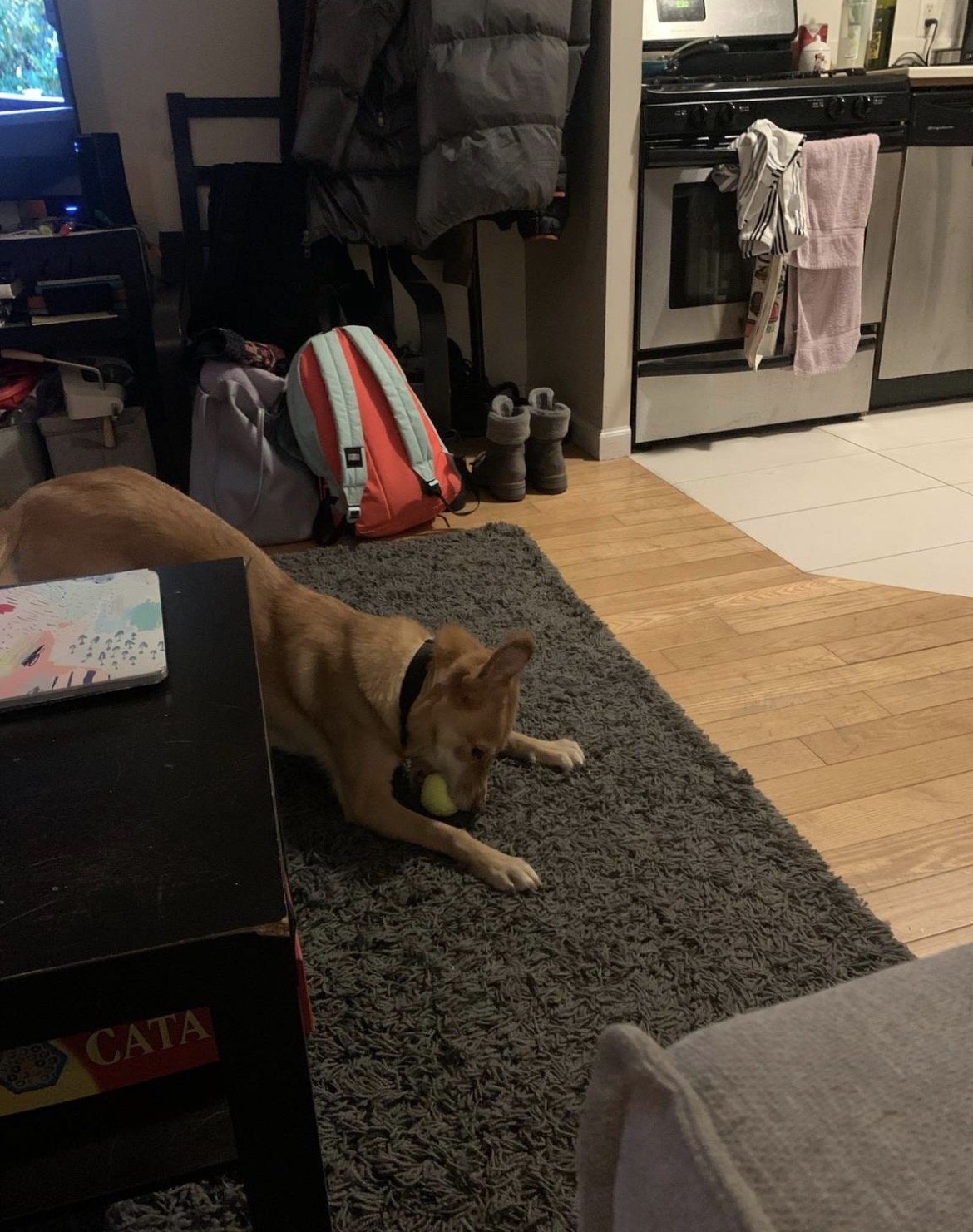 image-9
