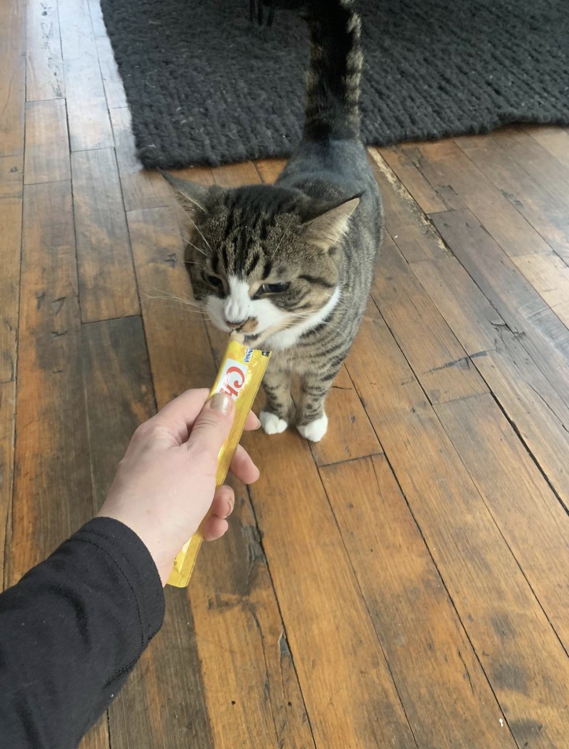 image-7