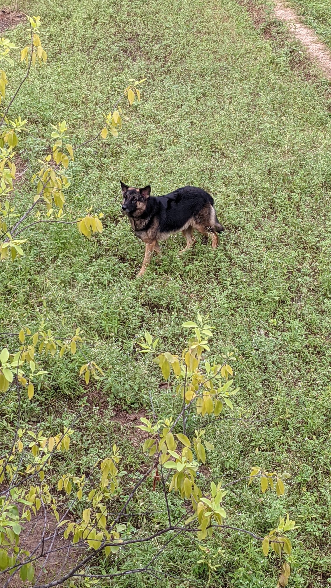 image-9