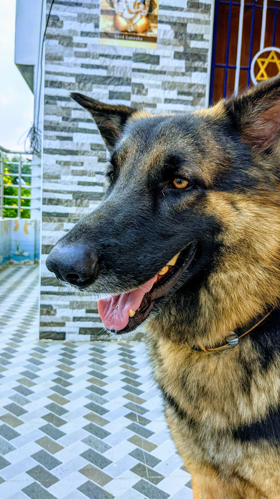 image-8