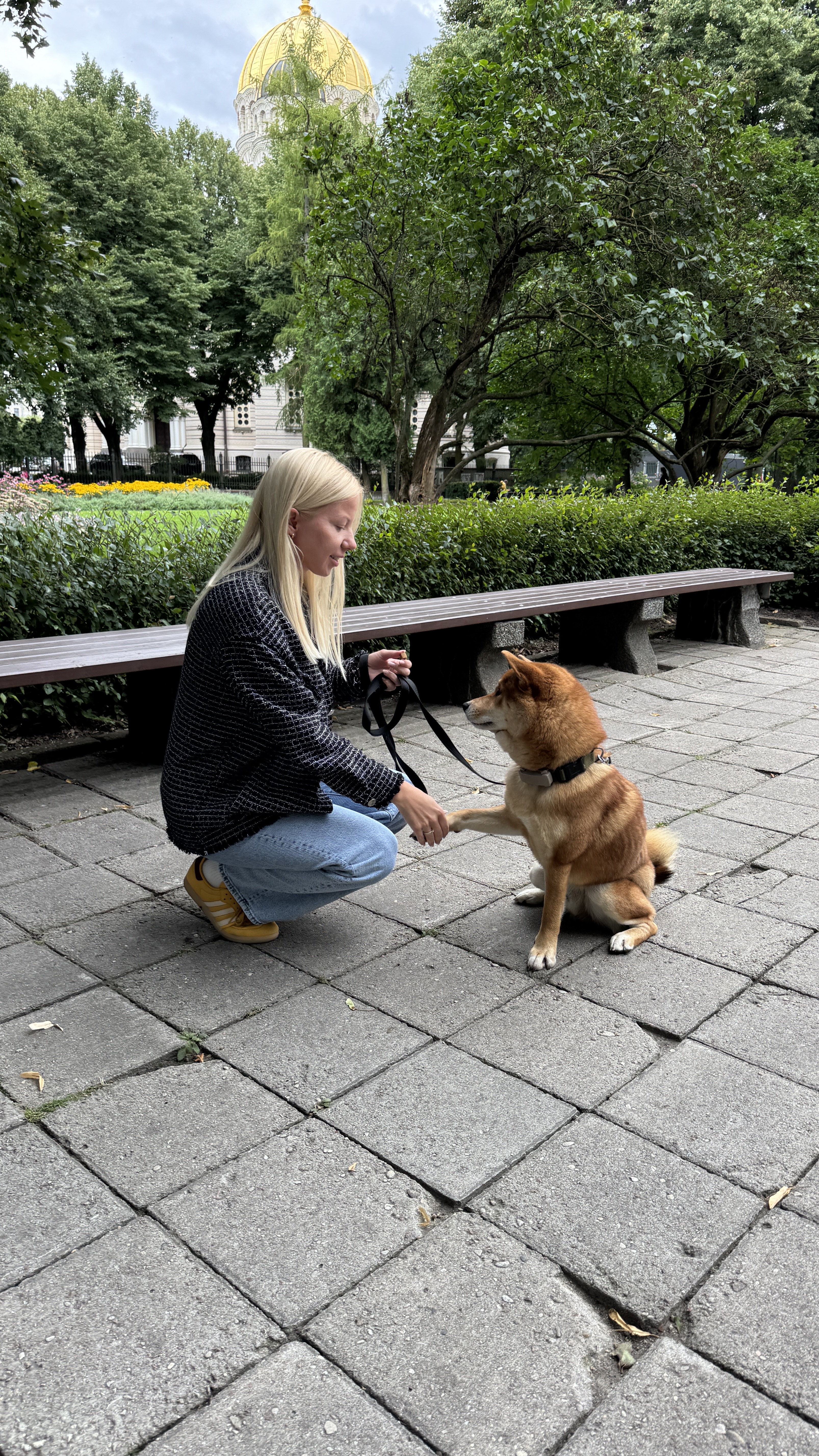 image-15