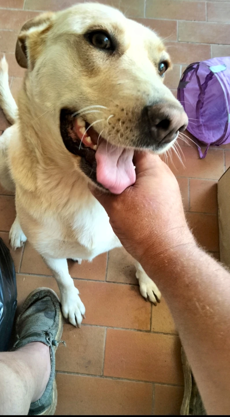 image-5