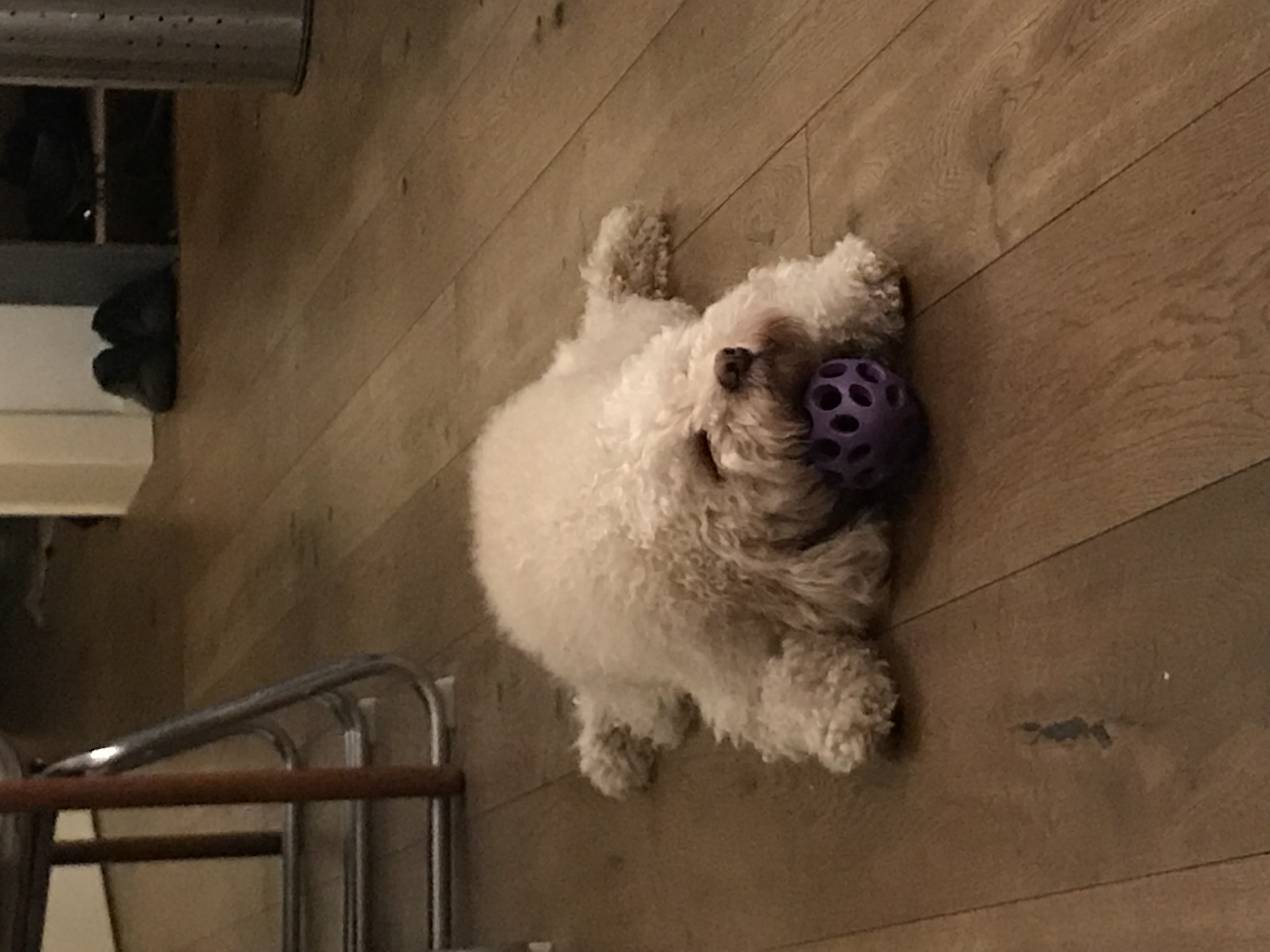image-5