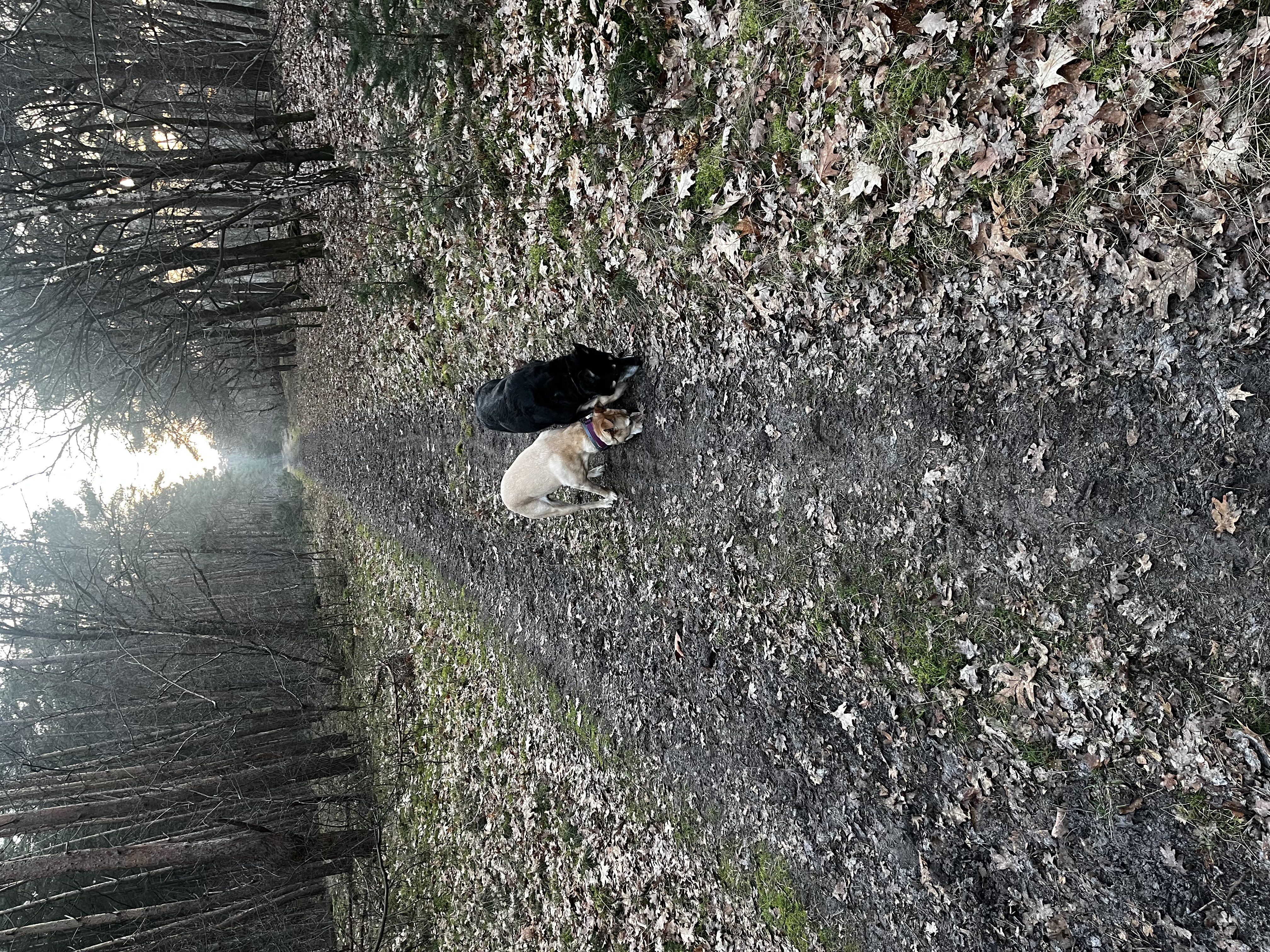 image-3