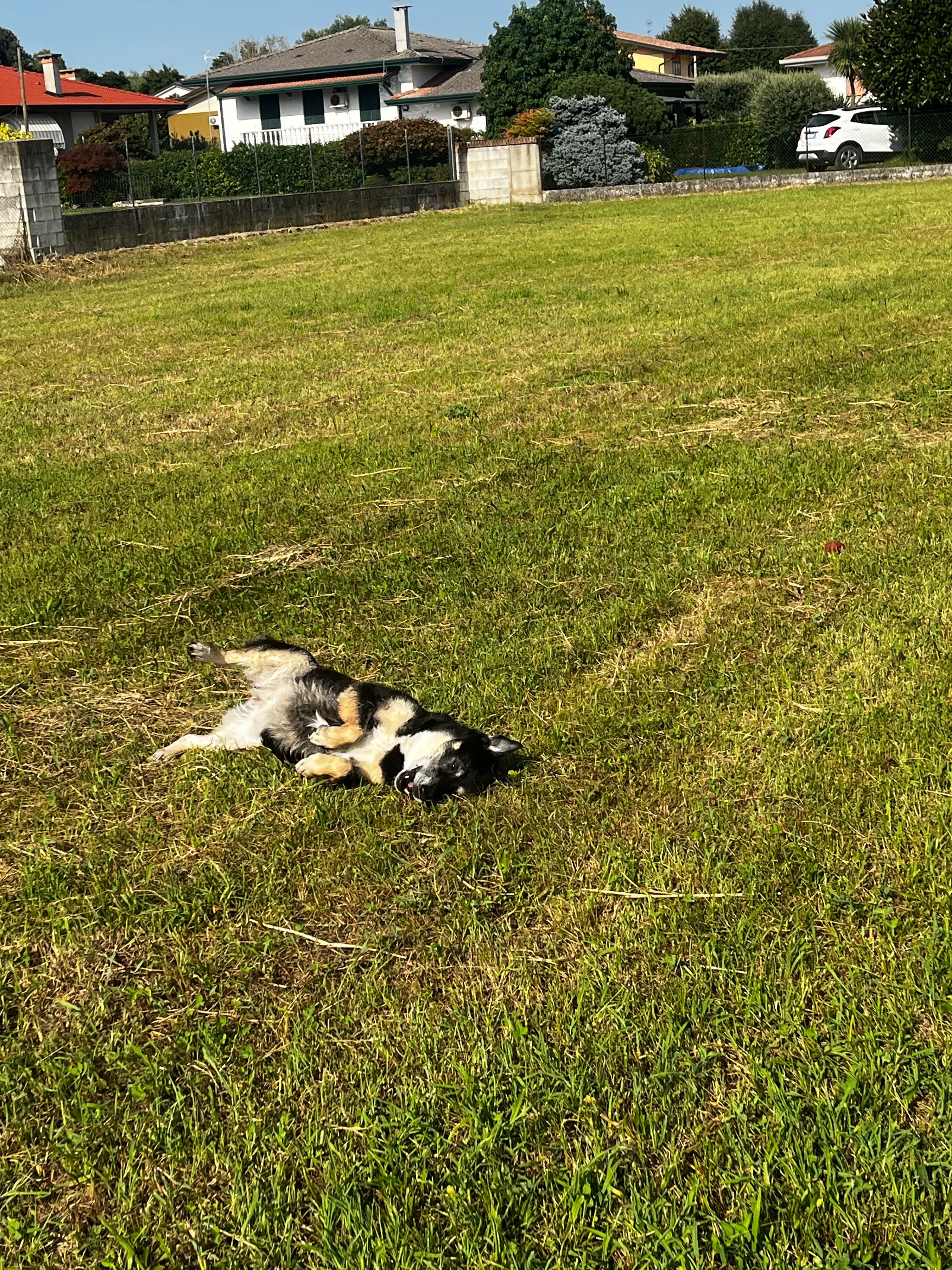 image-12