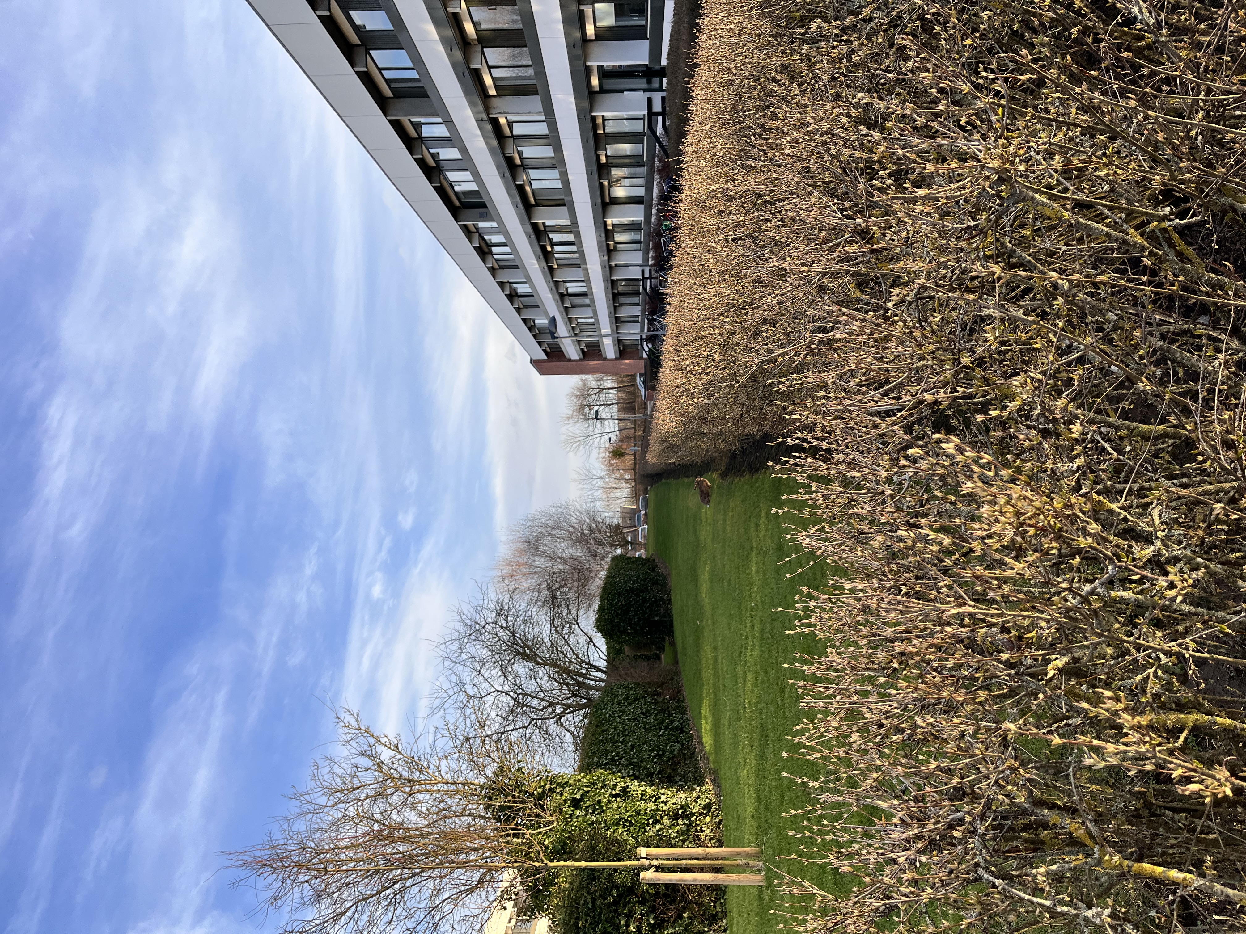 image-18