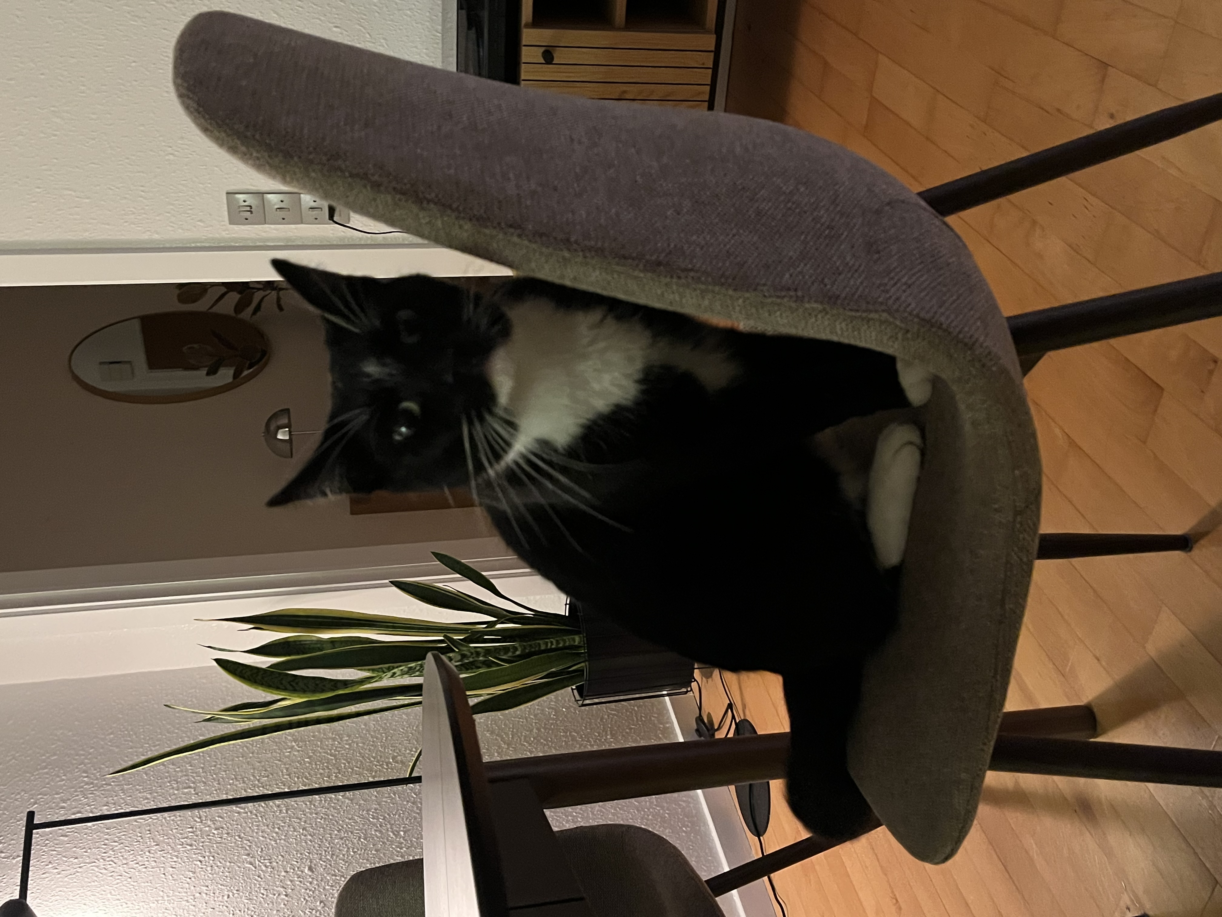image-16