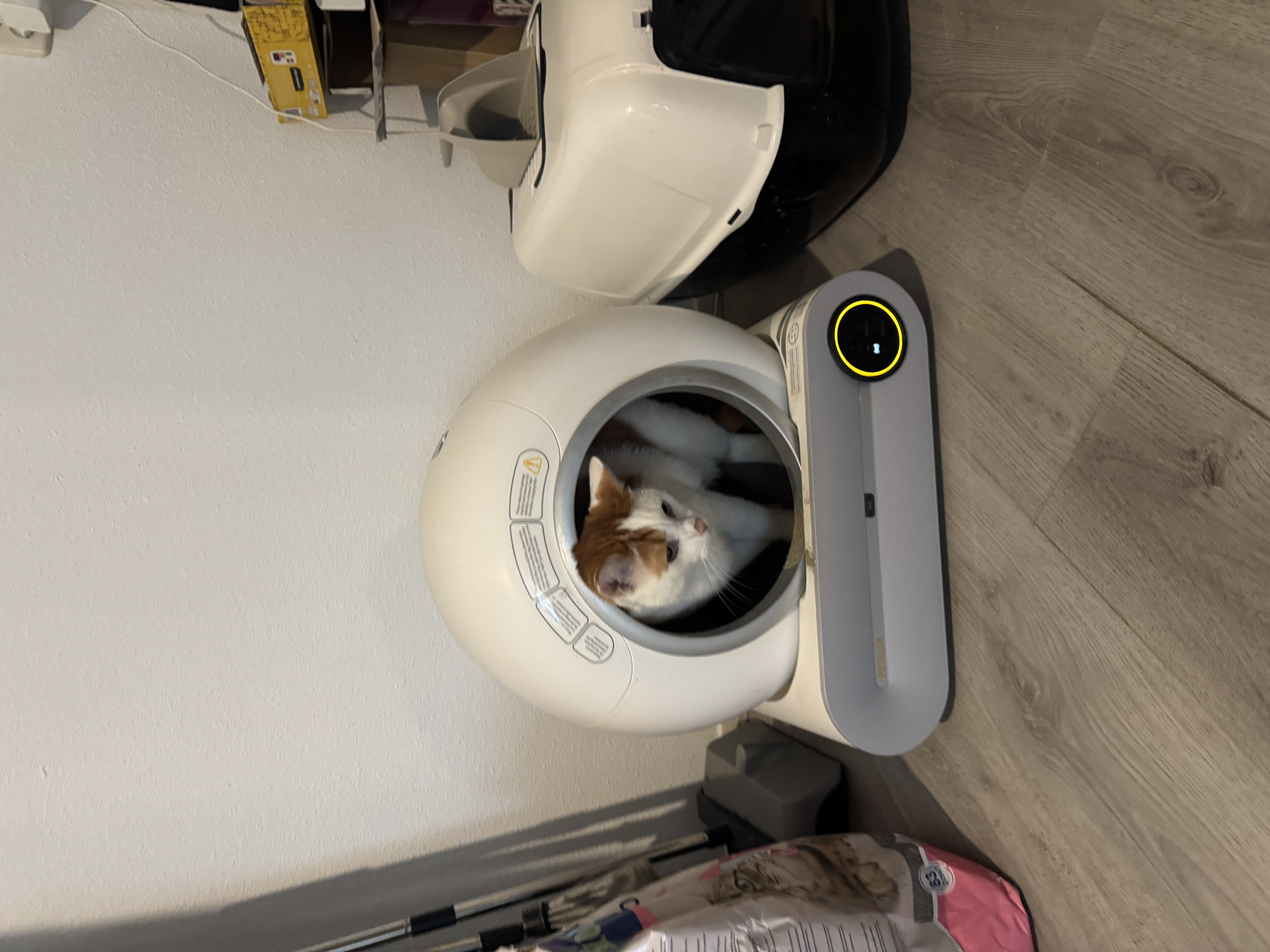 image-13