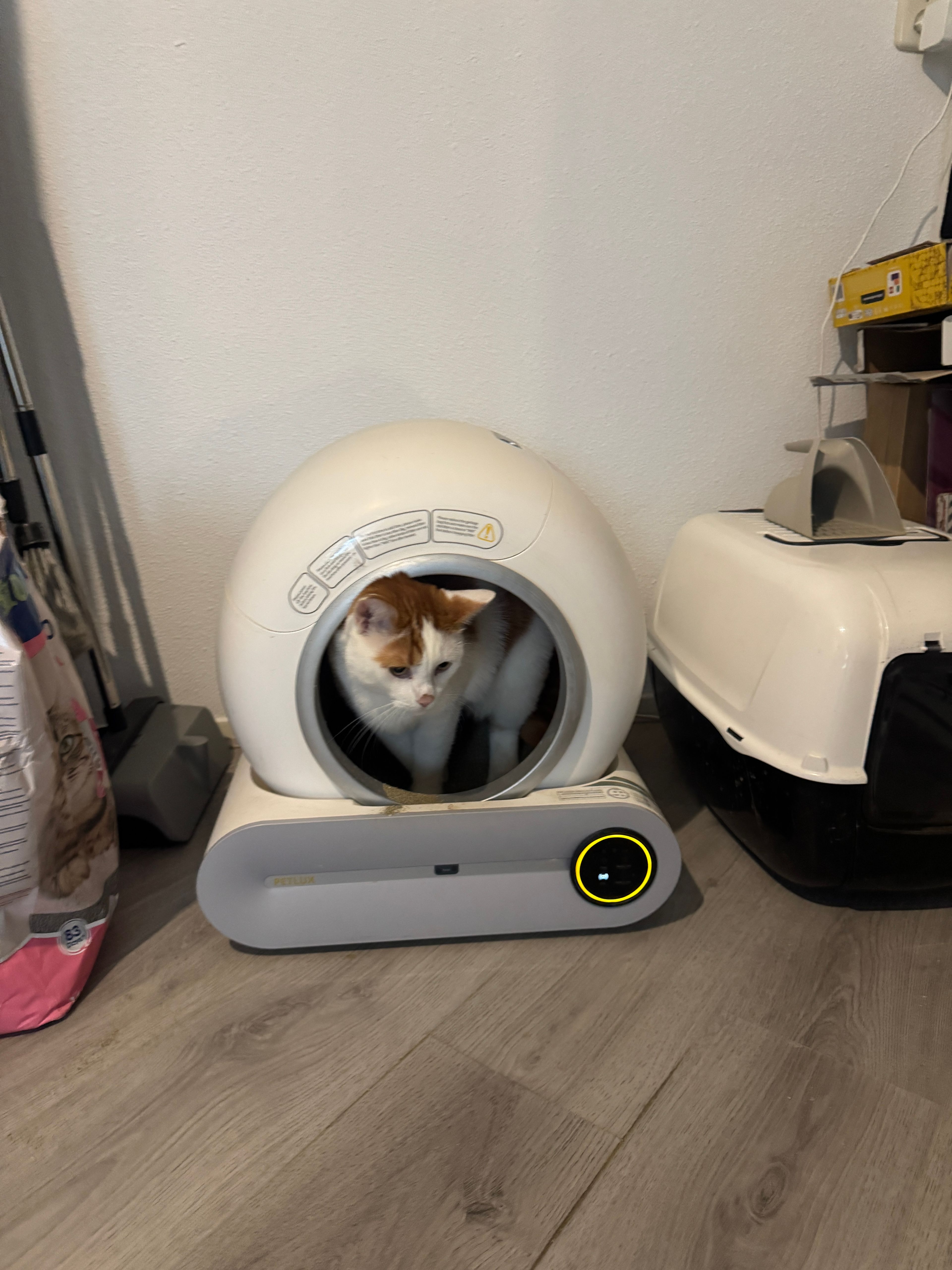 image-13