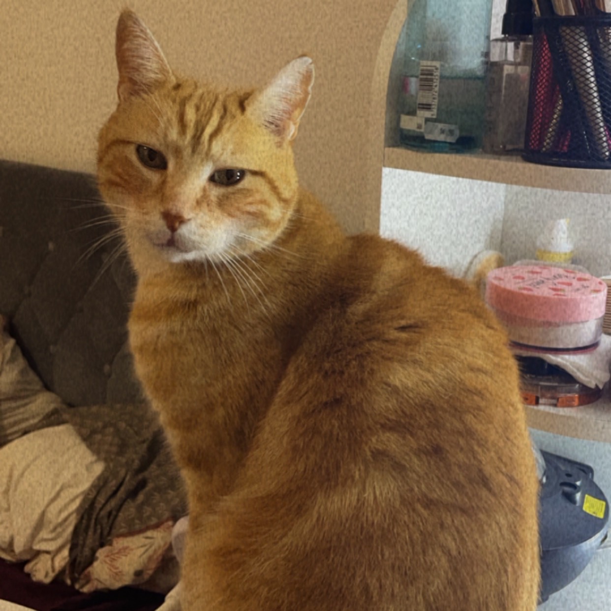Caramel 