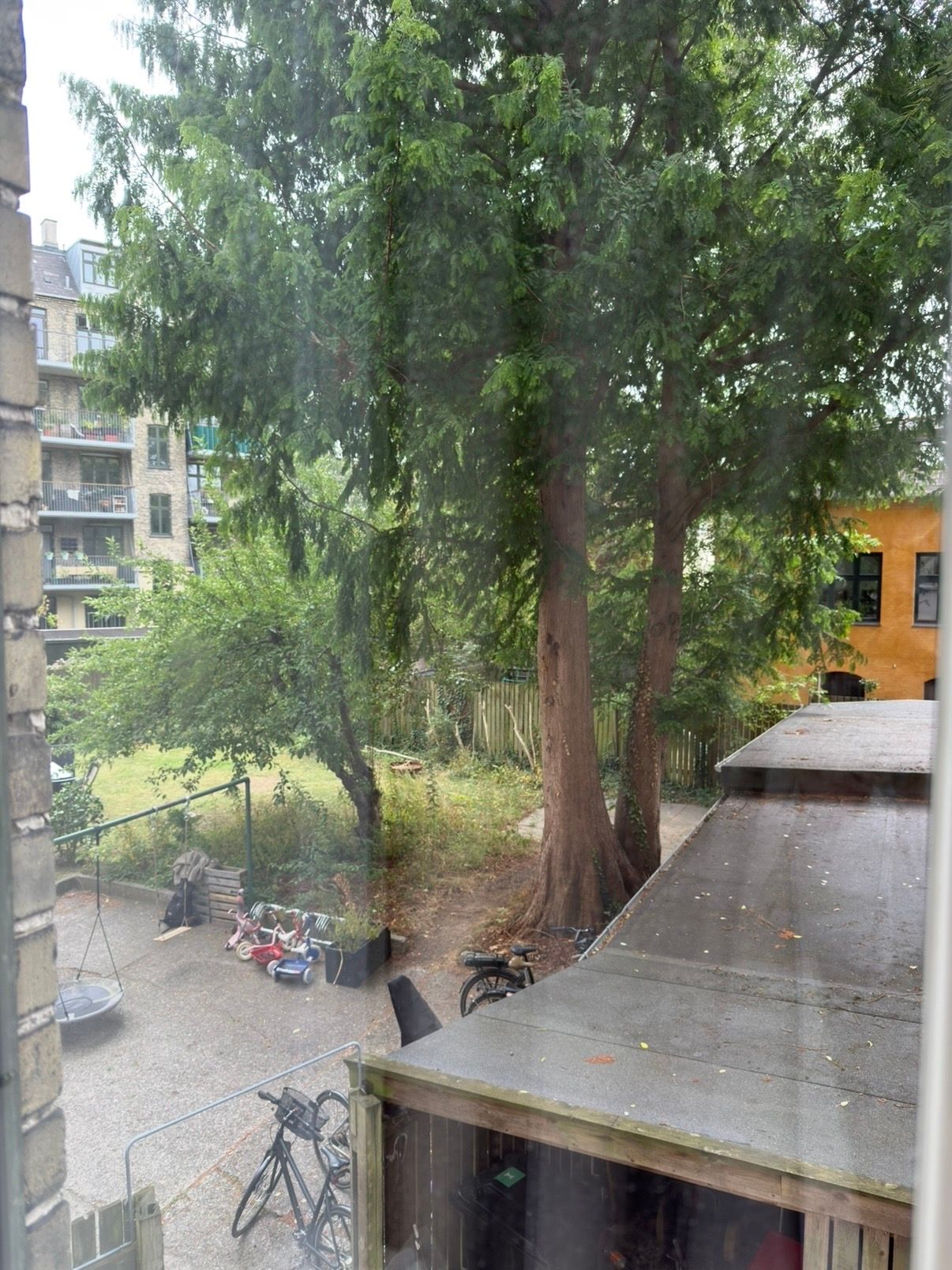 image-14