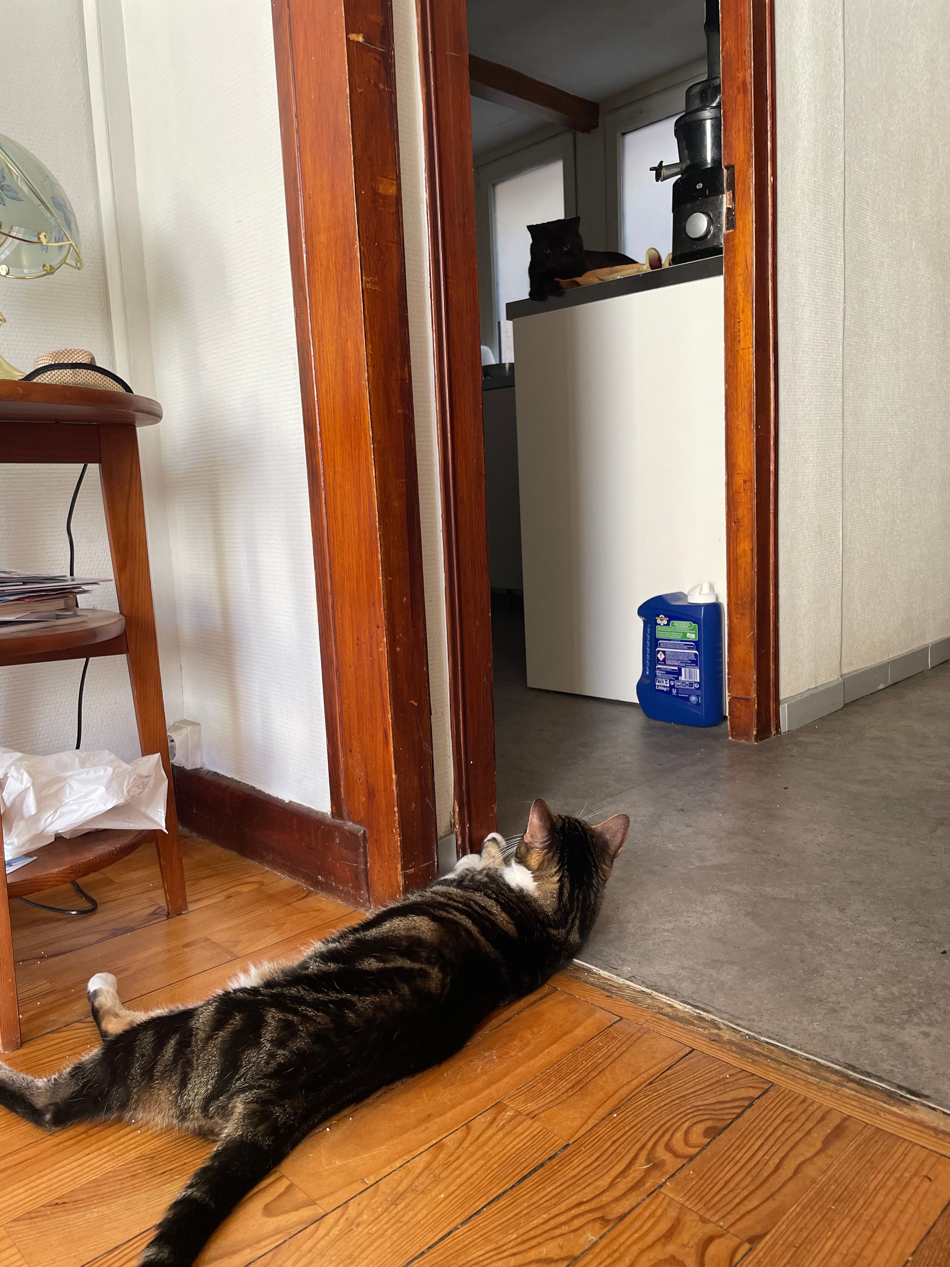 image-13