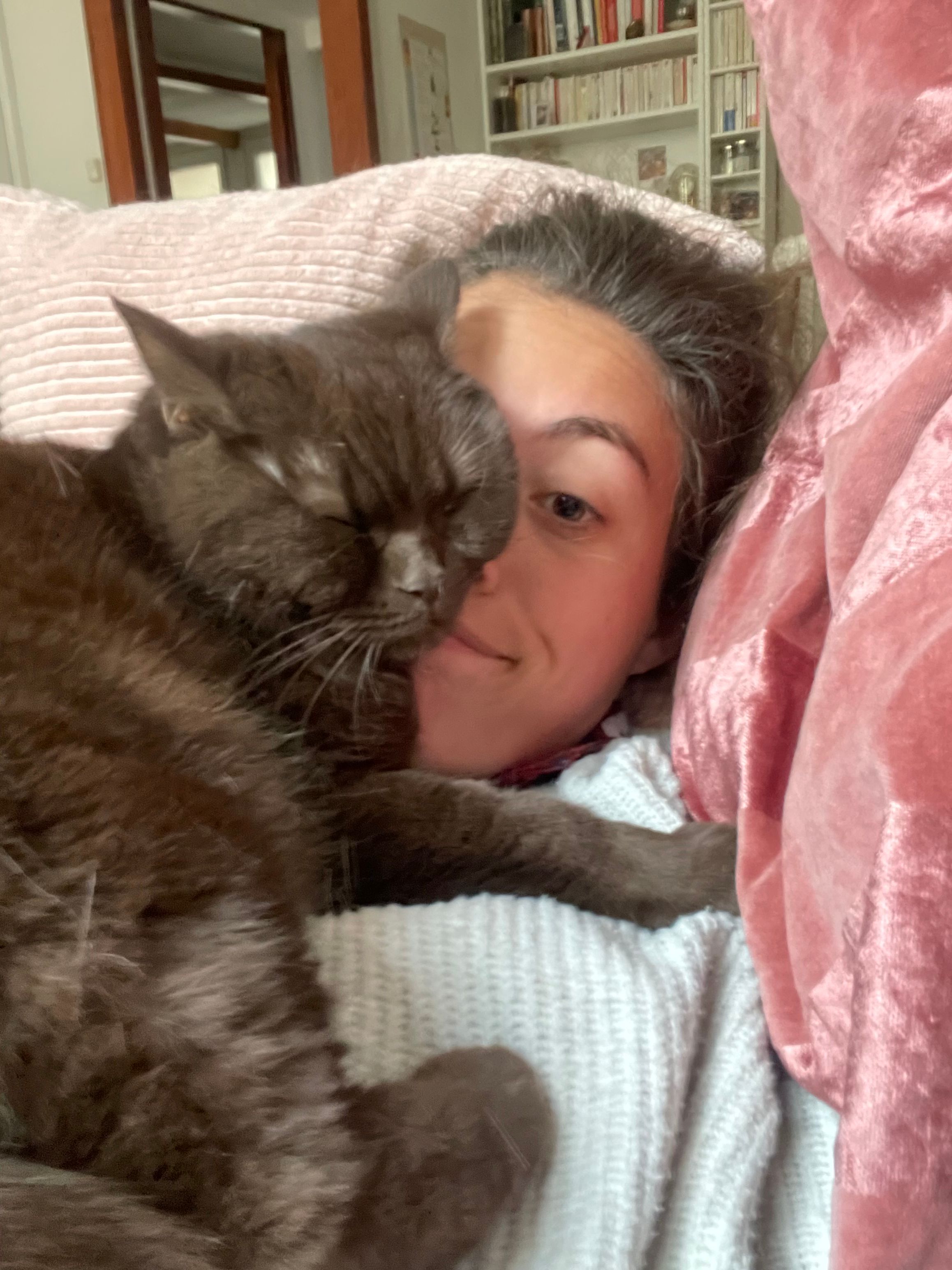 image-11