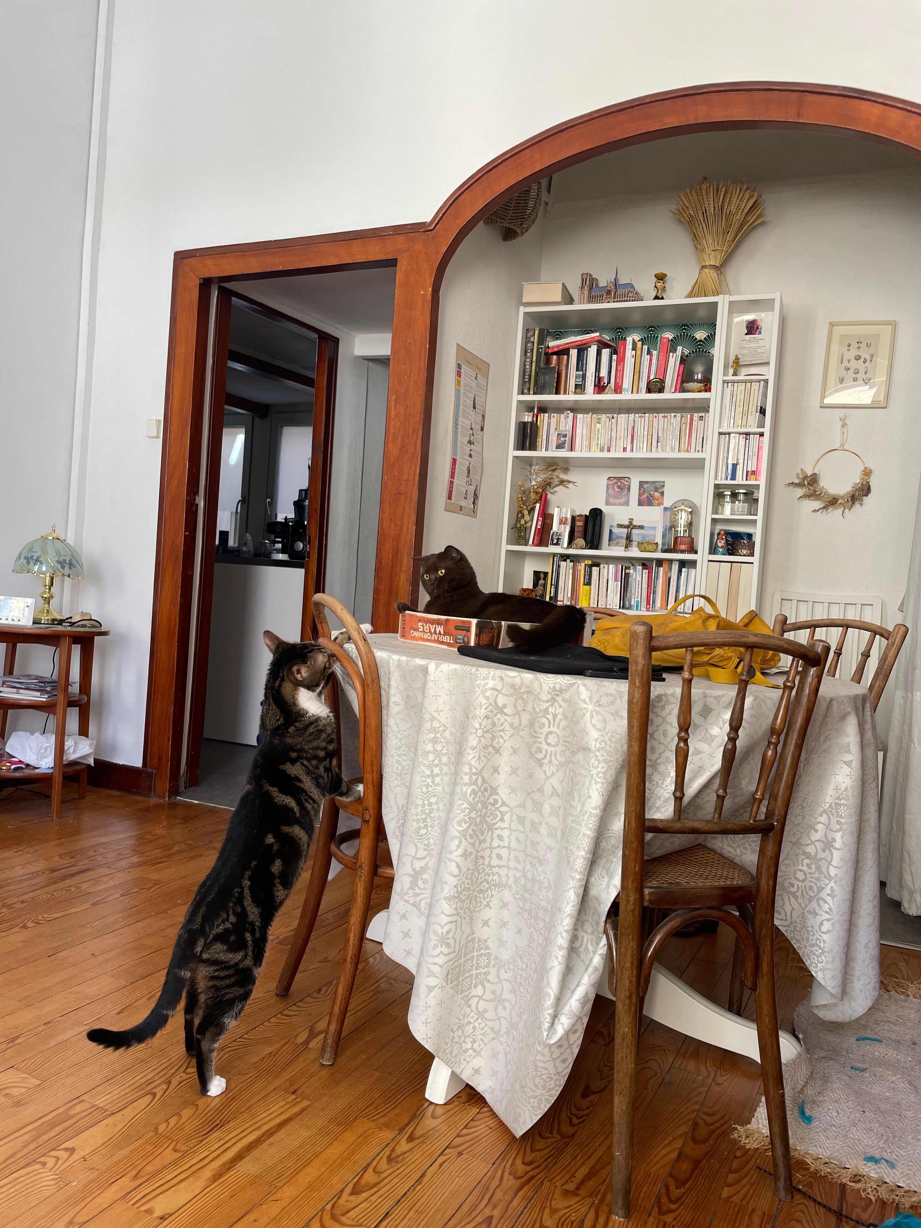 image-15