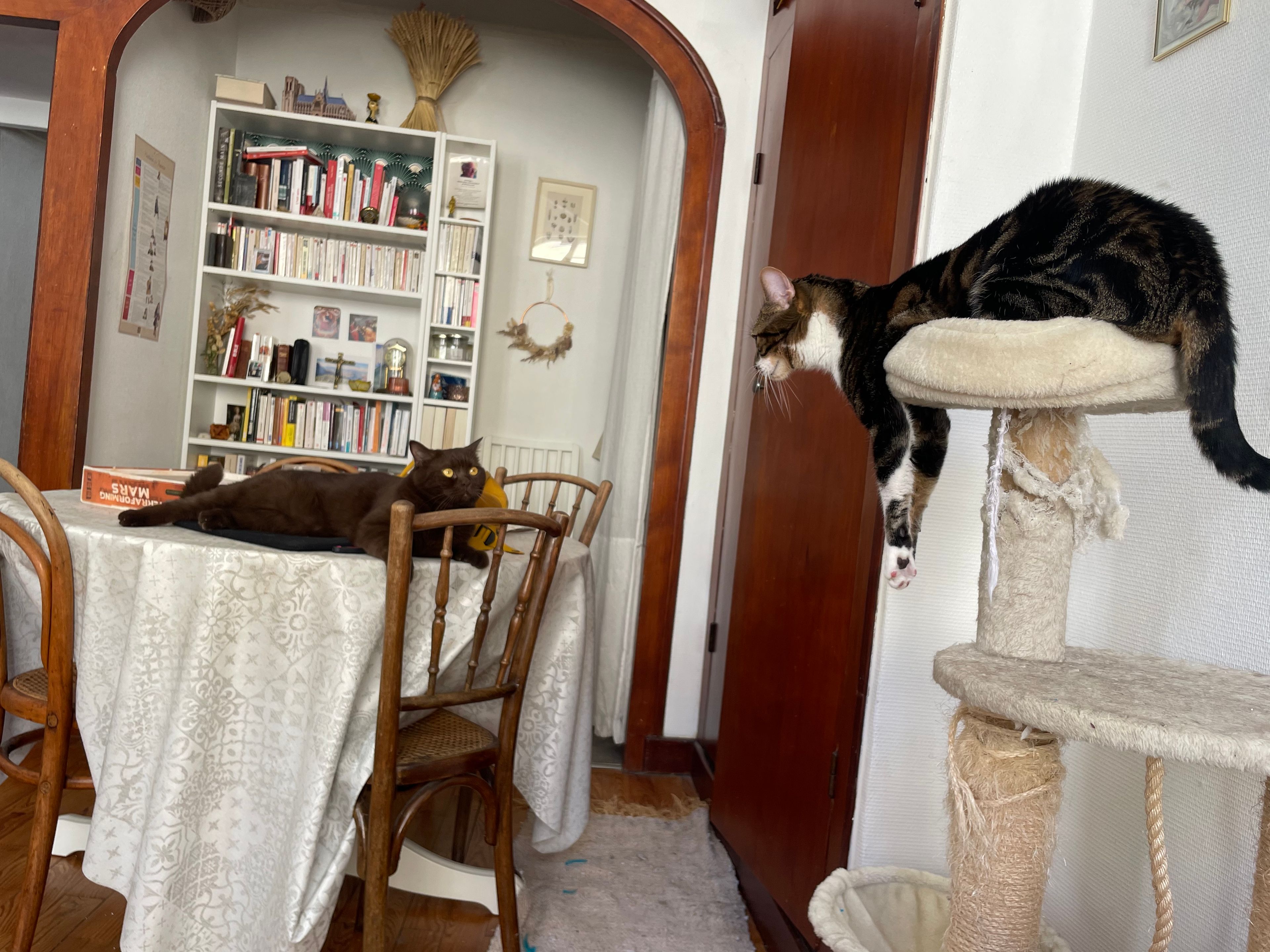 image-12