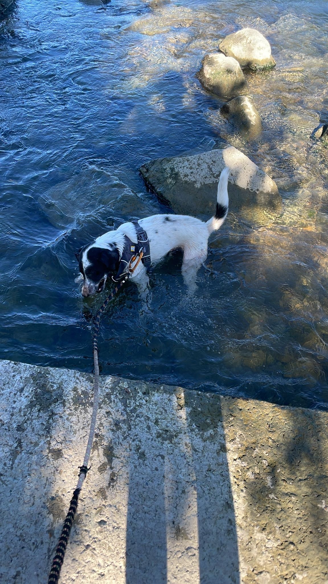 image-9