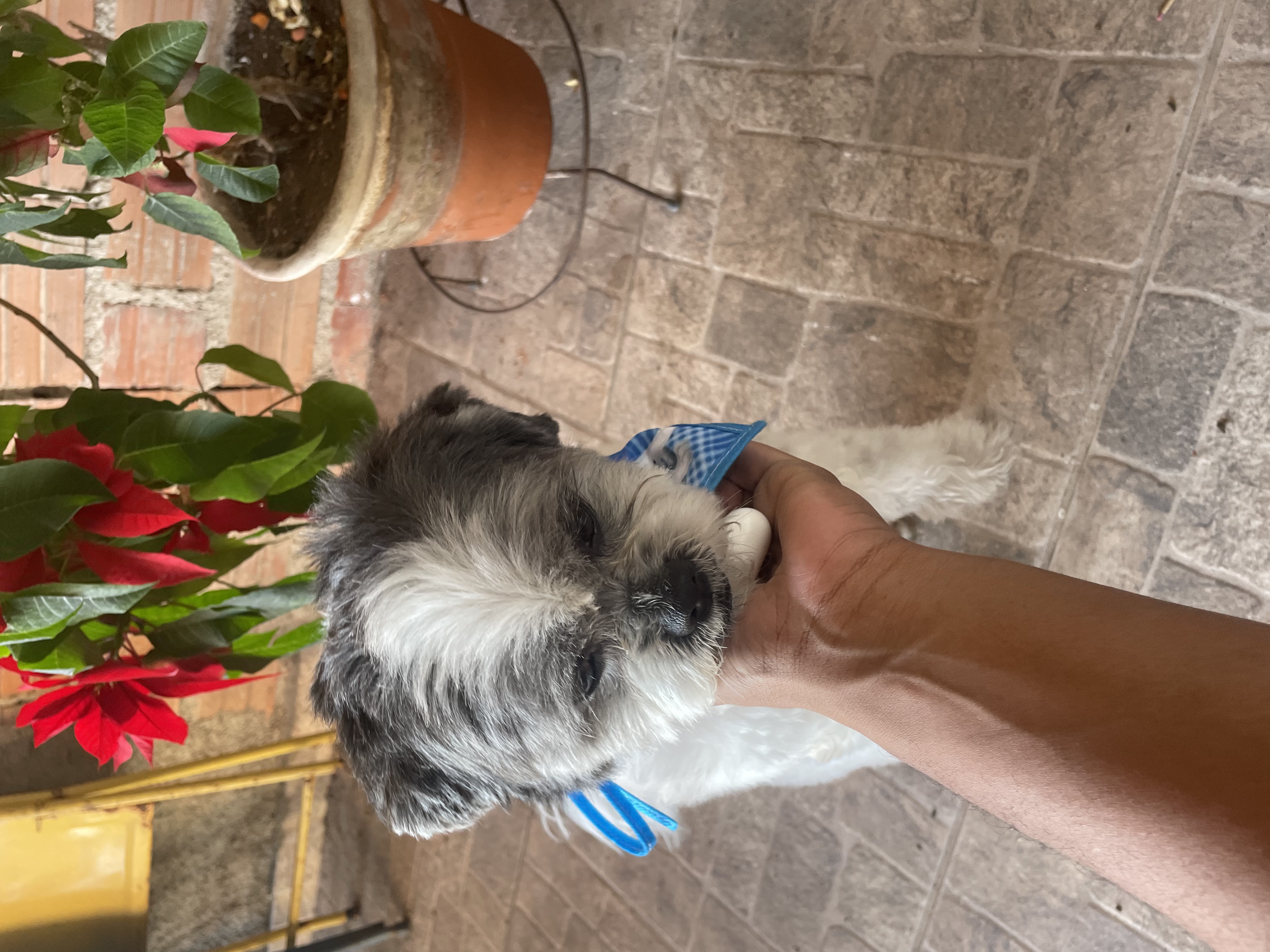 image-17