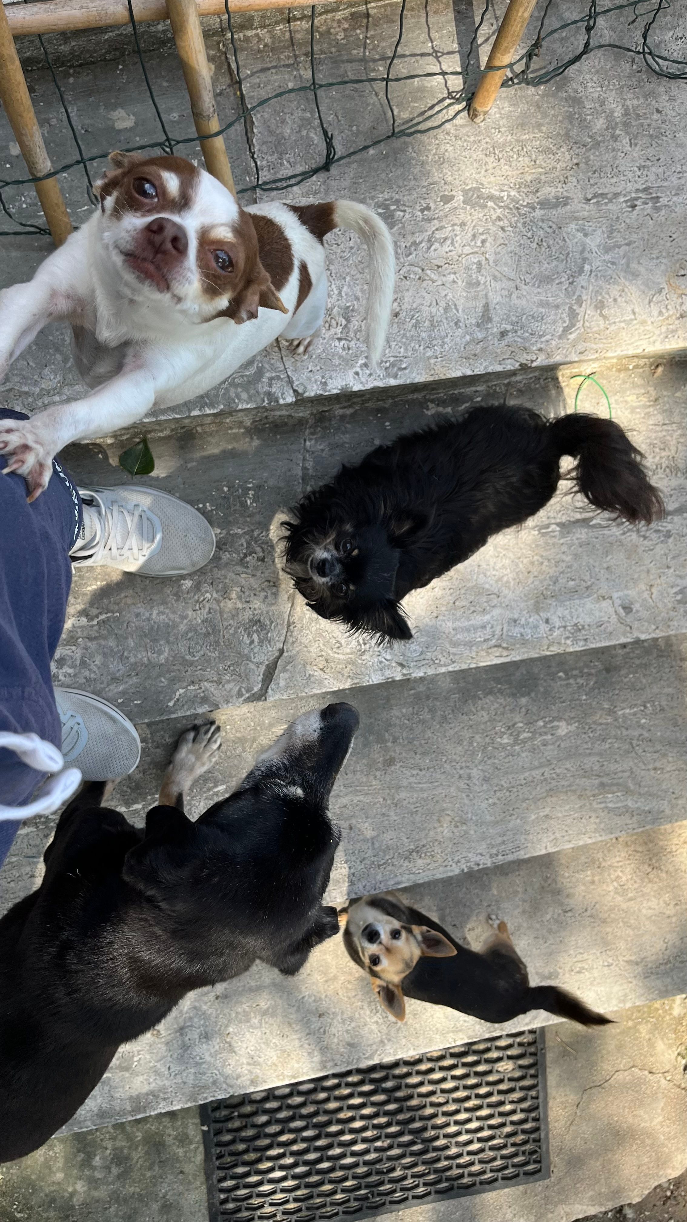 image-12
