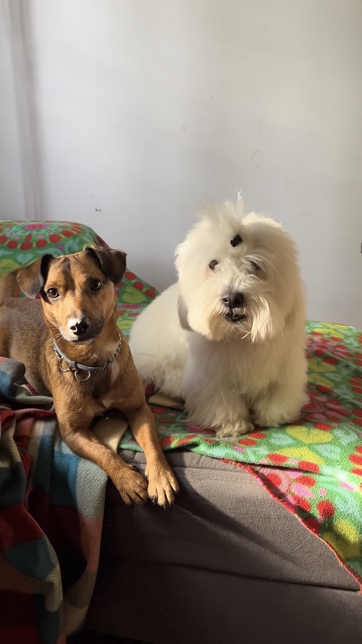 image-59