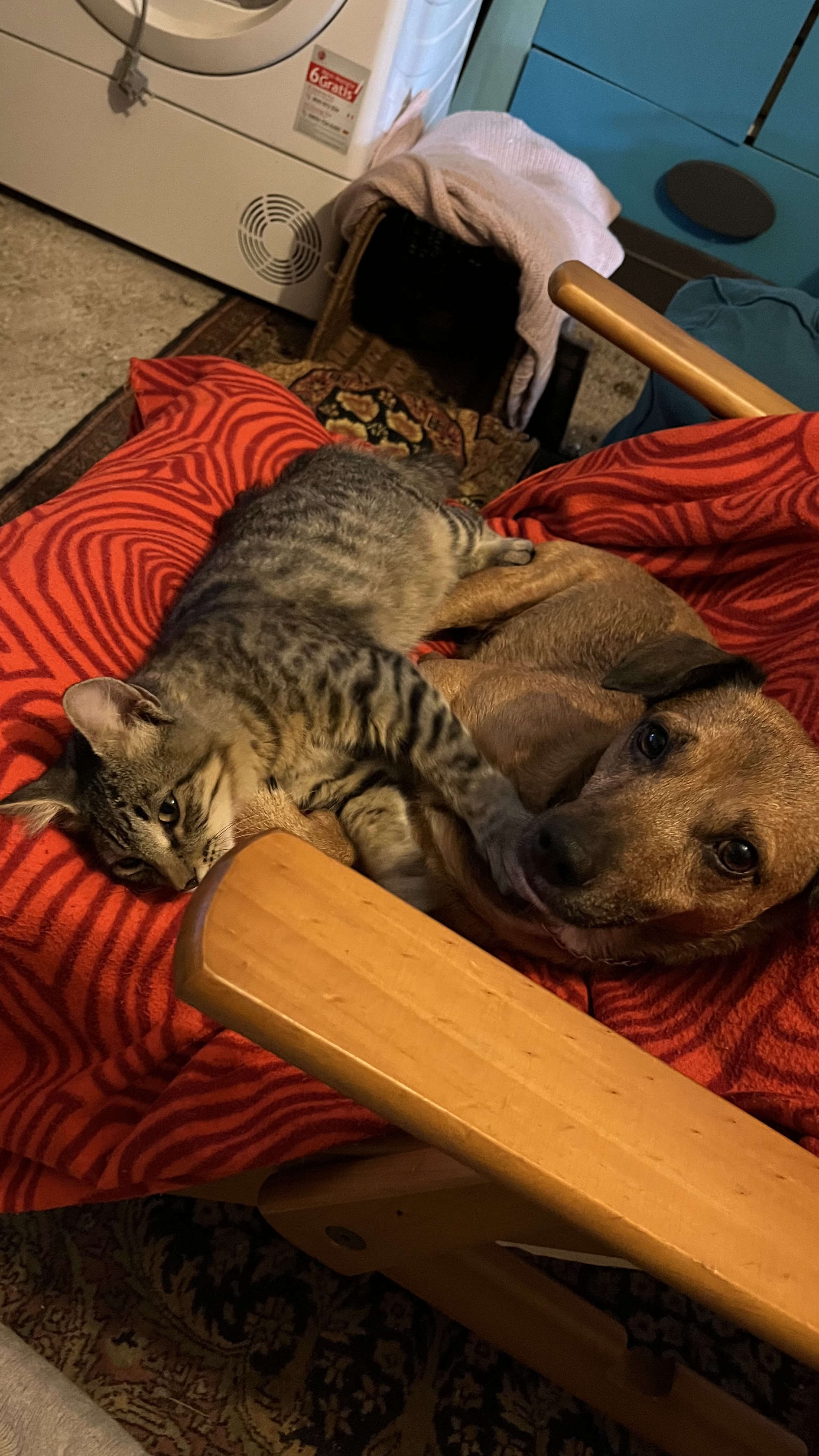 image-48