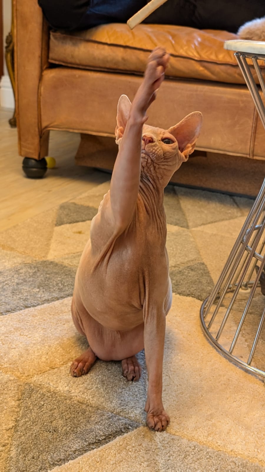 image-12