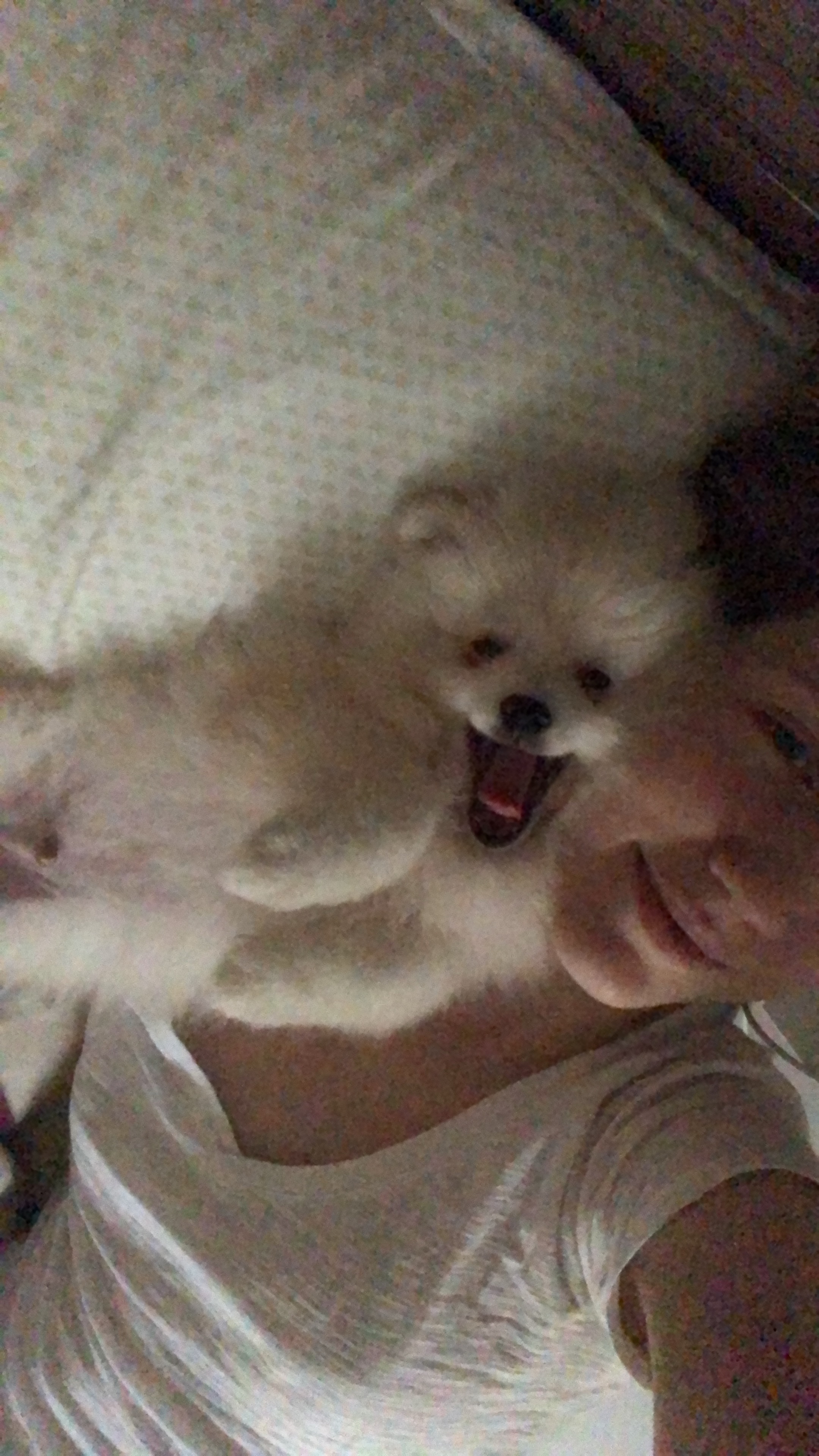 image-6