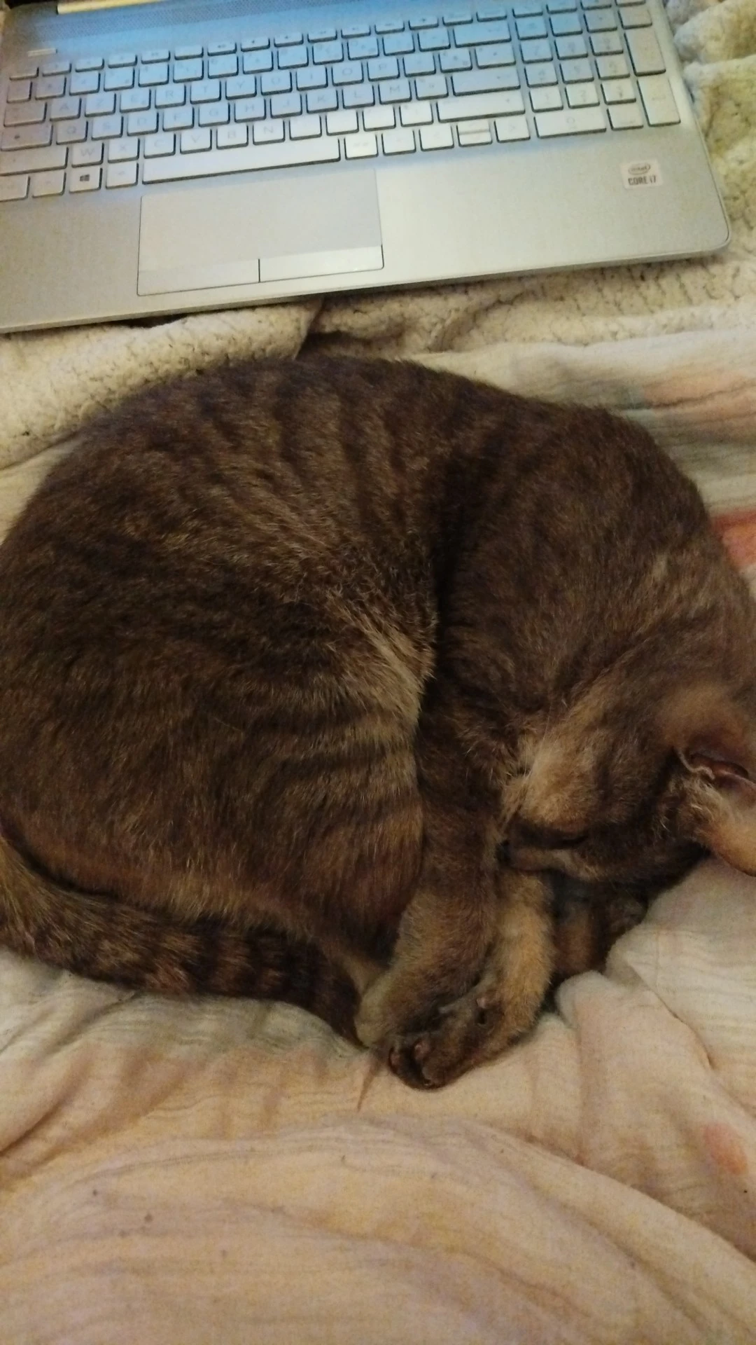 image-8