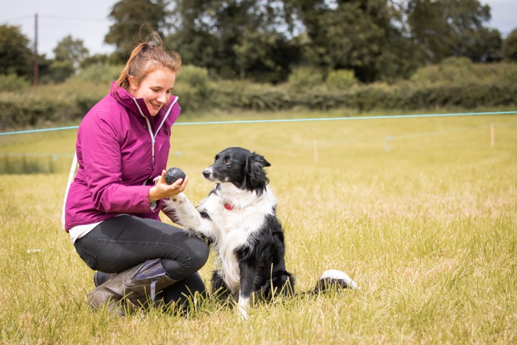 image-0