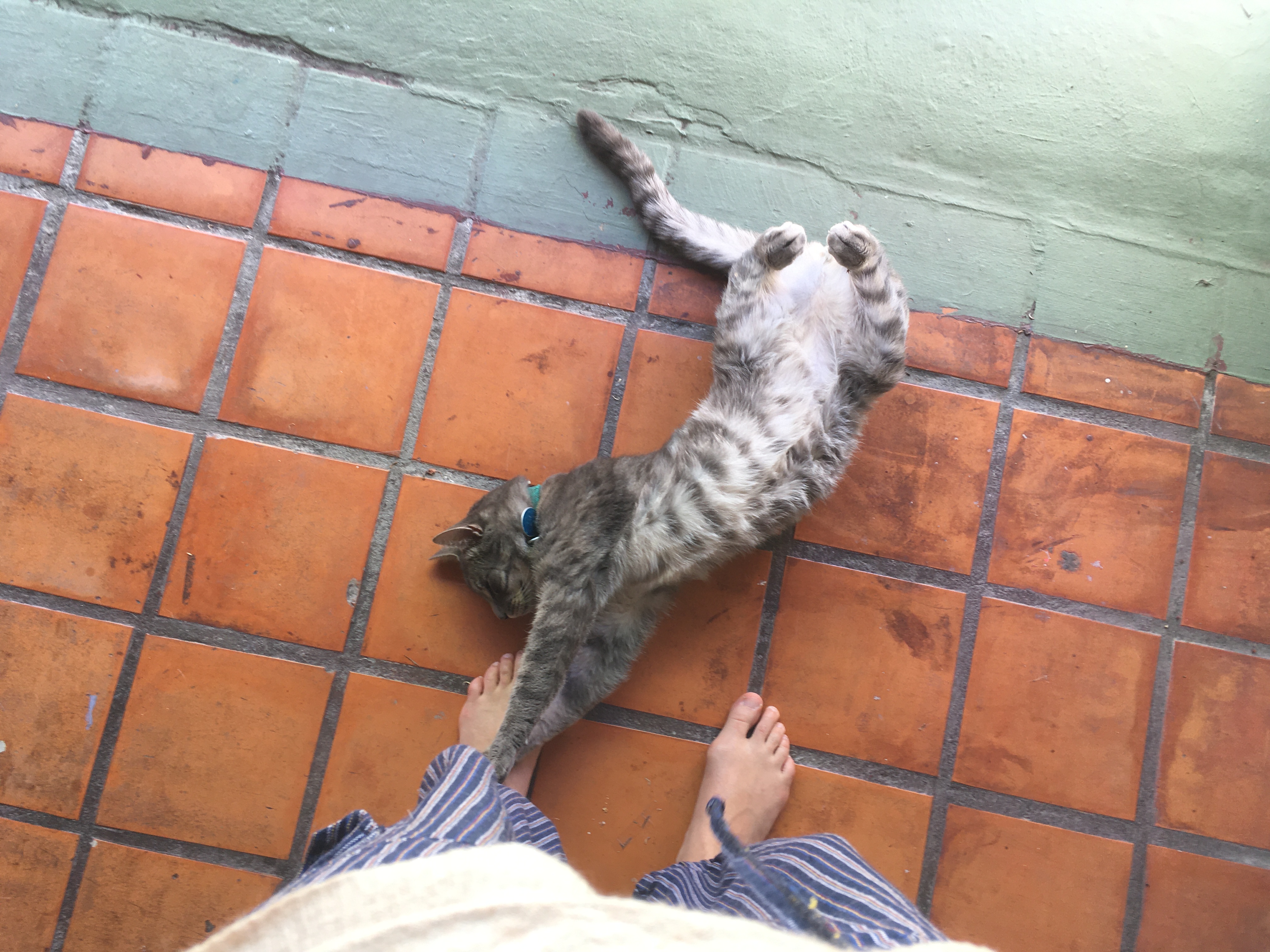 image-7