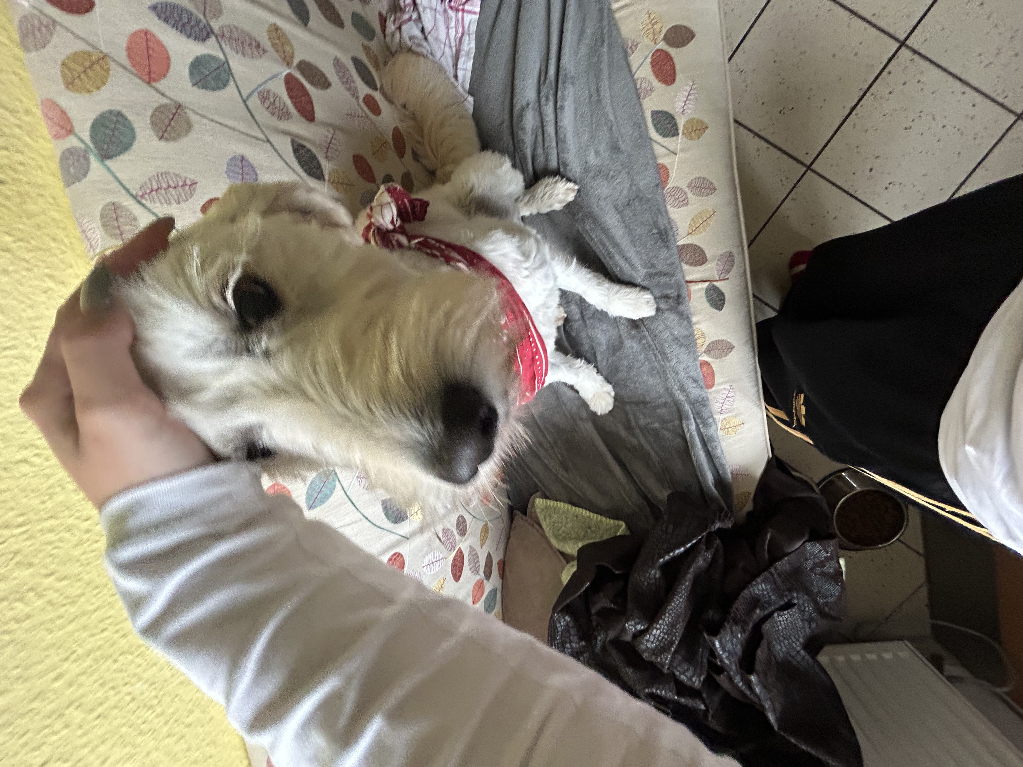 image-9