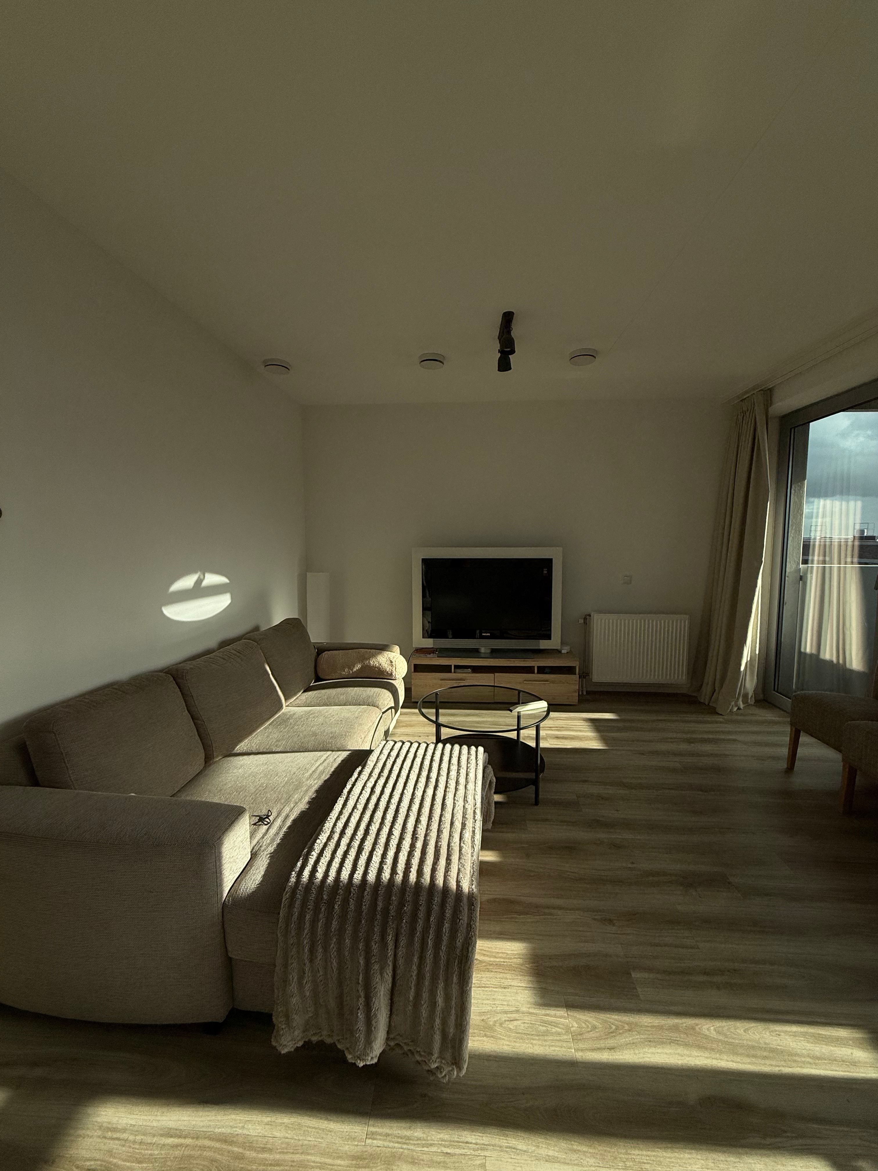 image-19