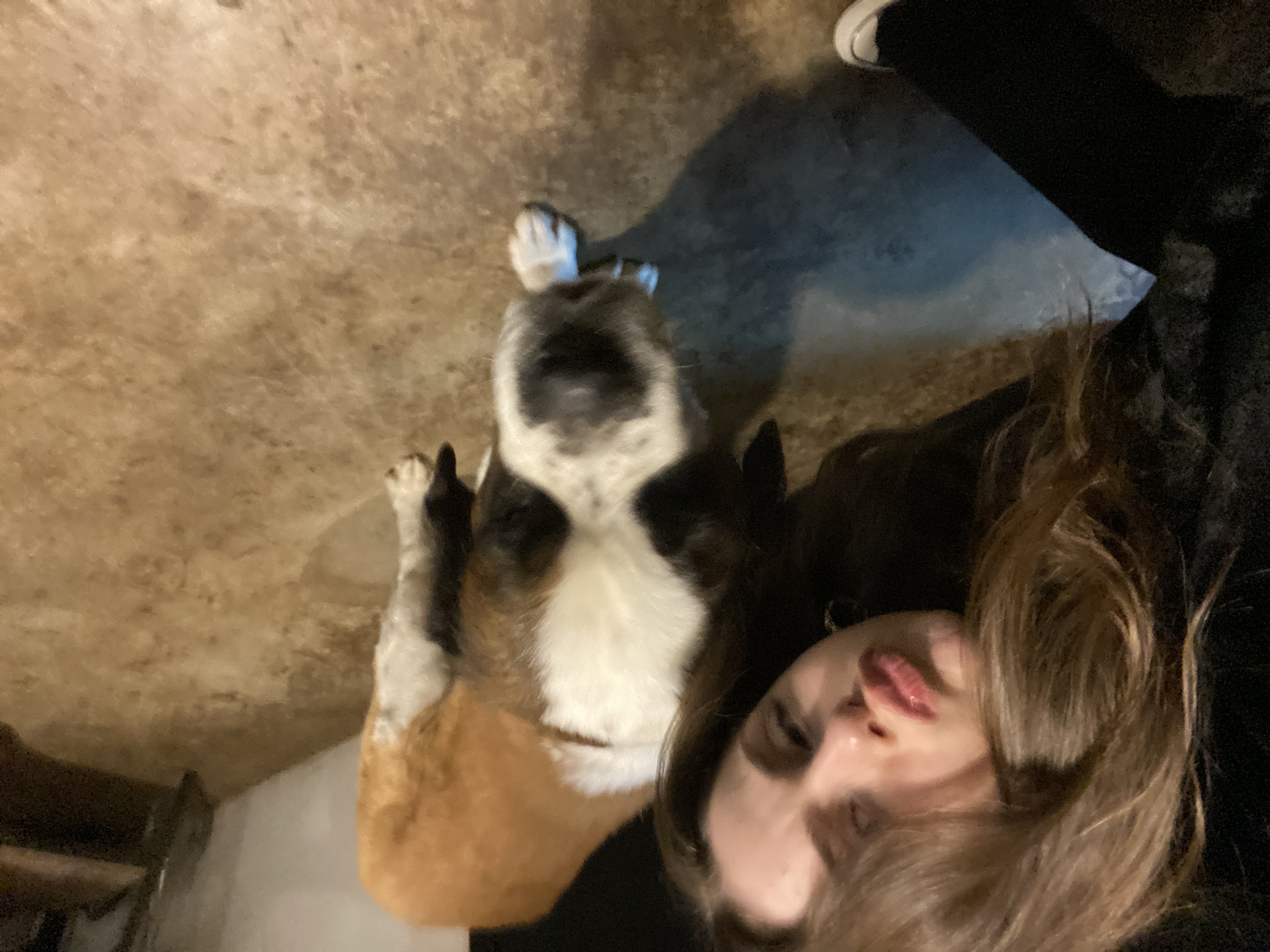 image-8