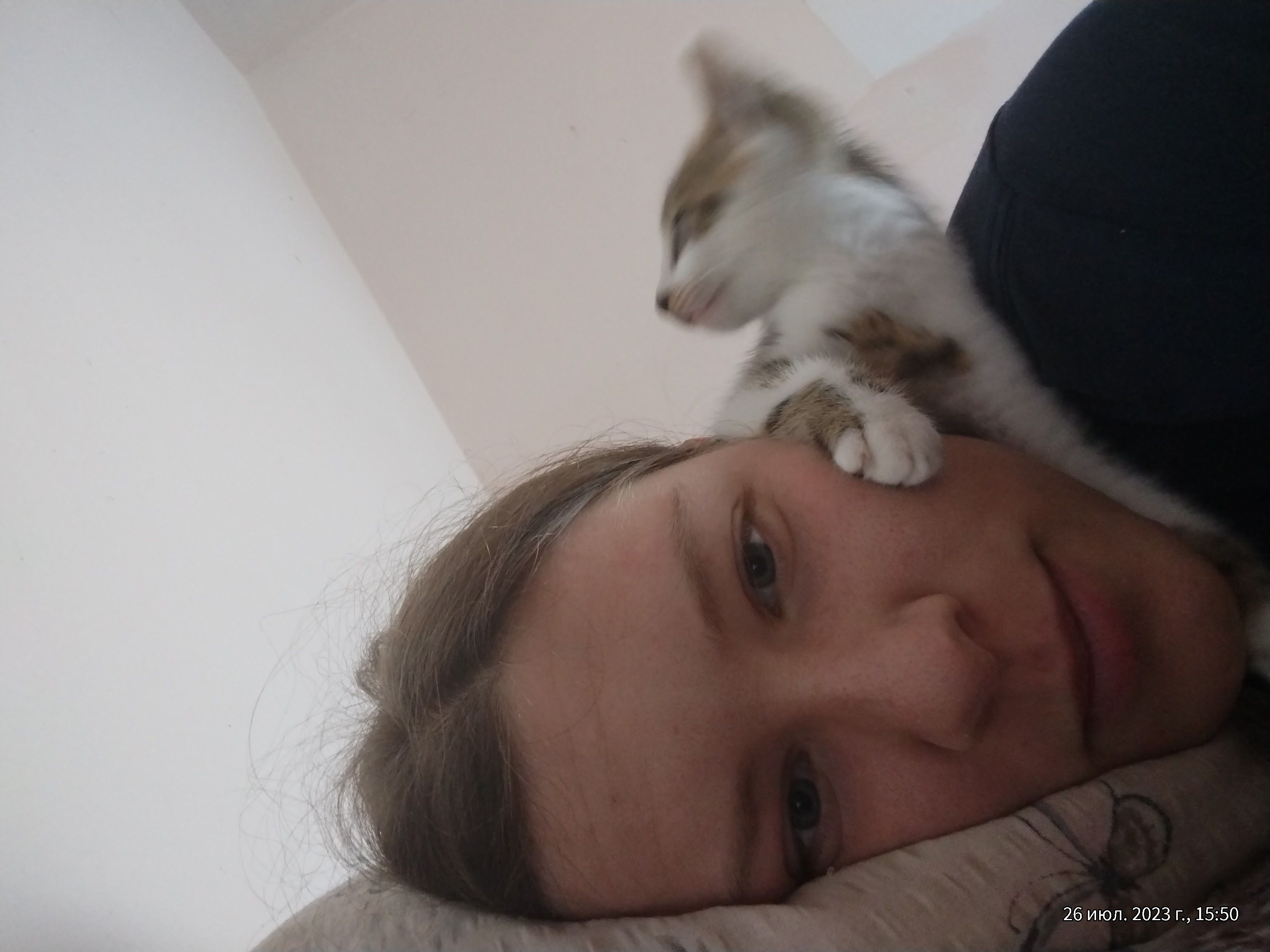 image-5