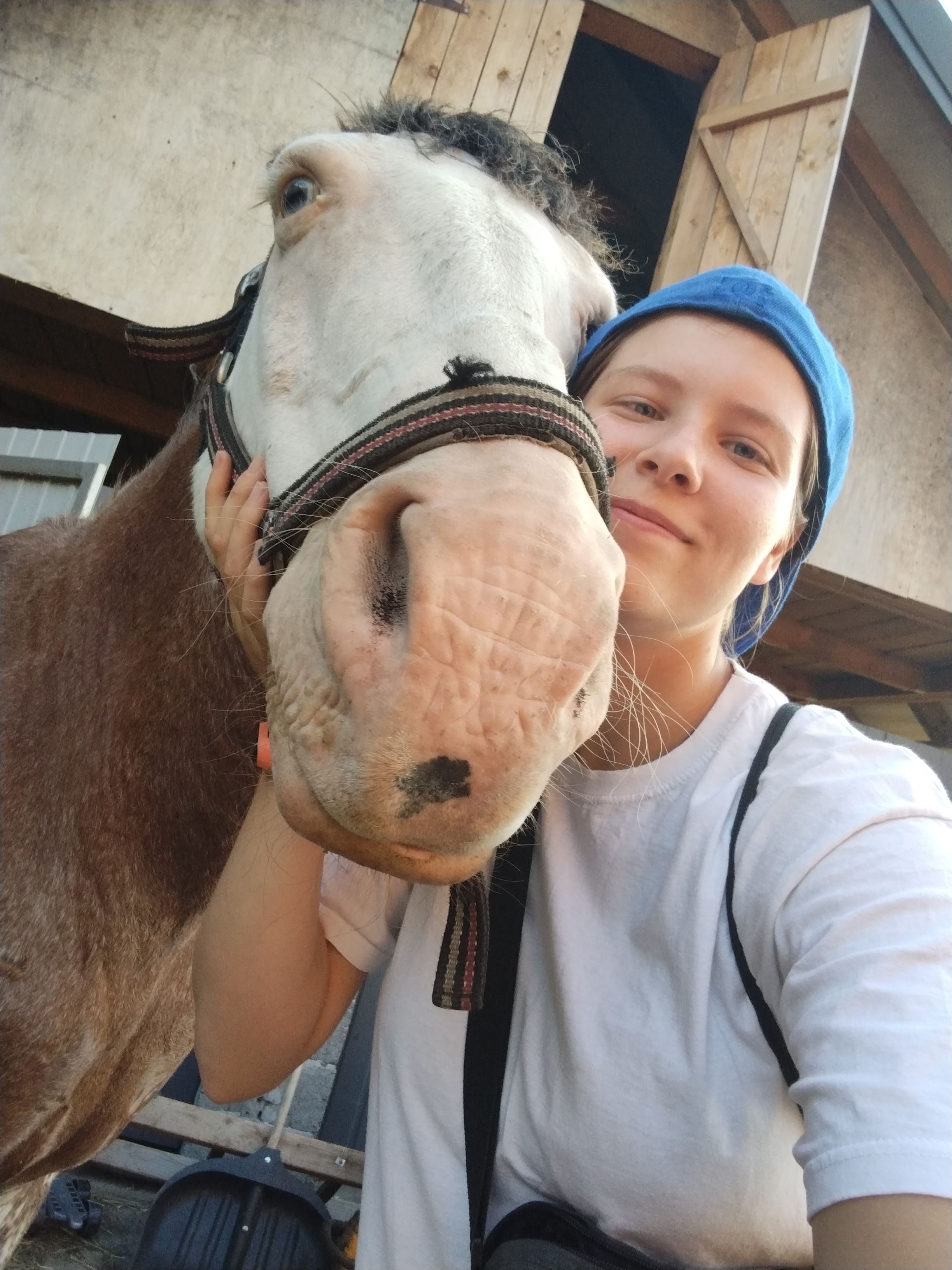 image-8