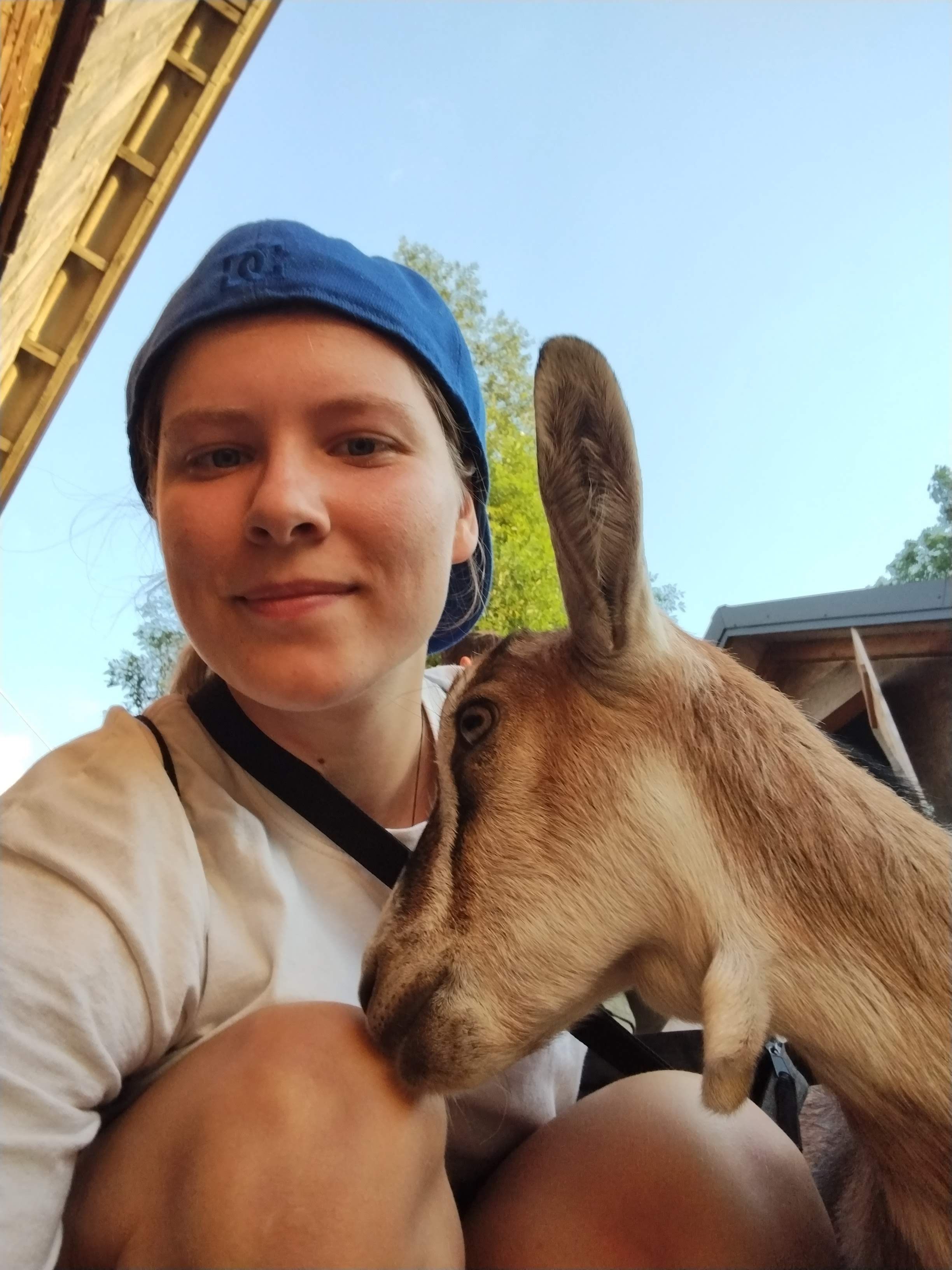 image-6