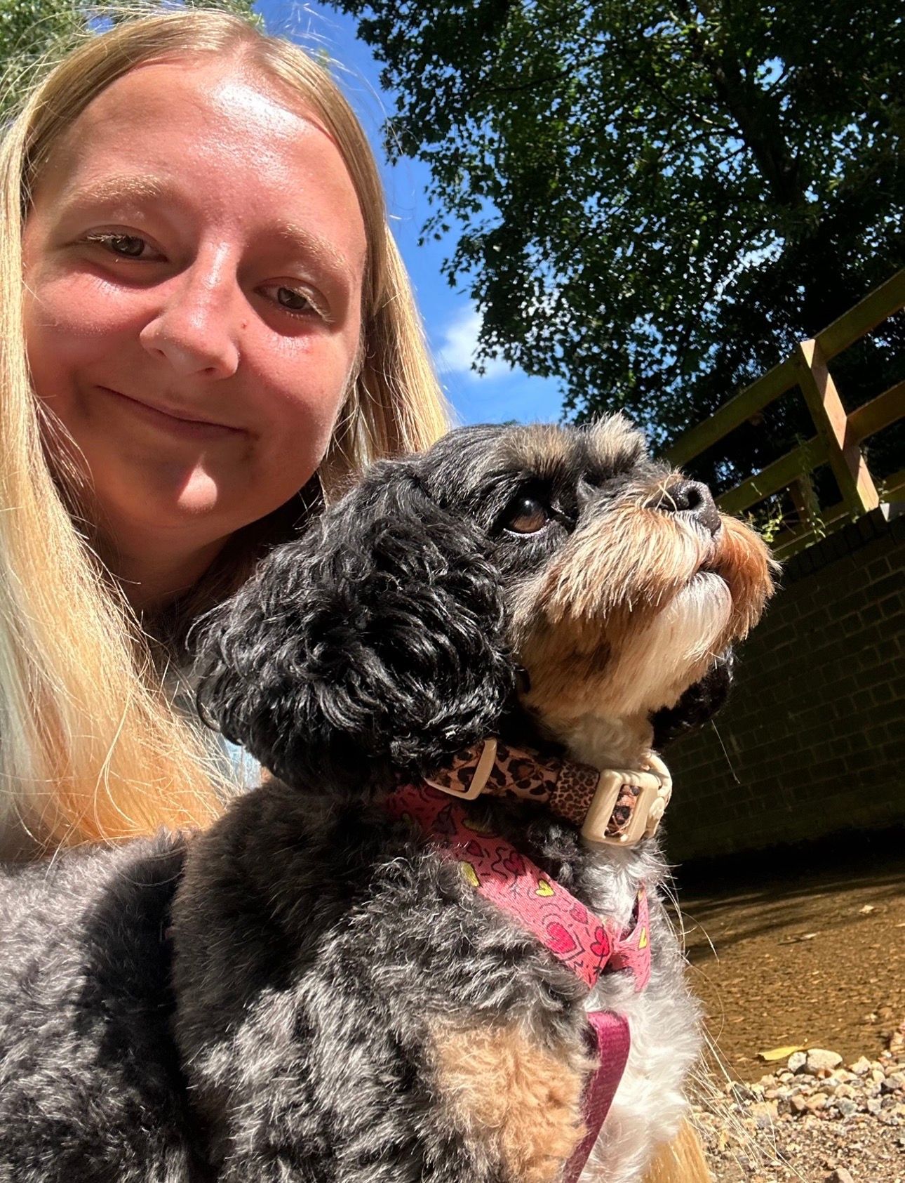 image-4