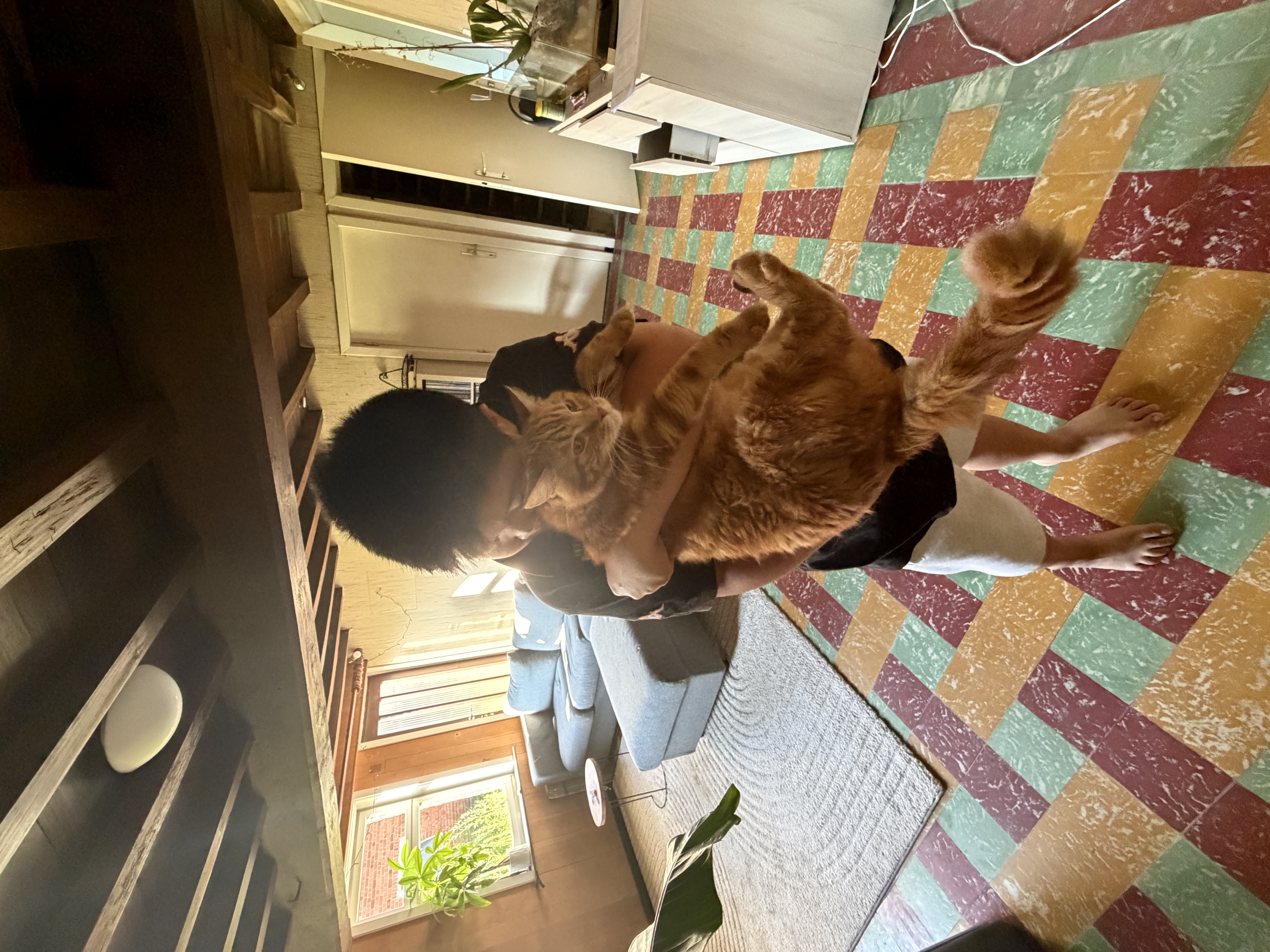 image-8