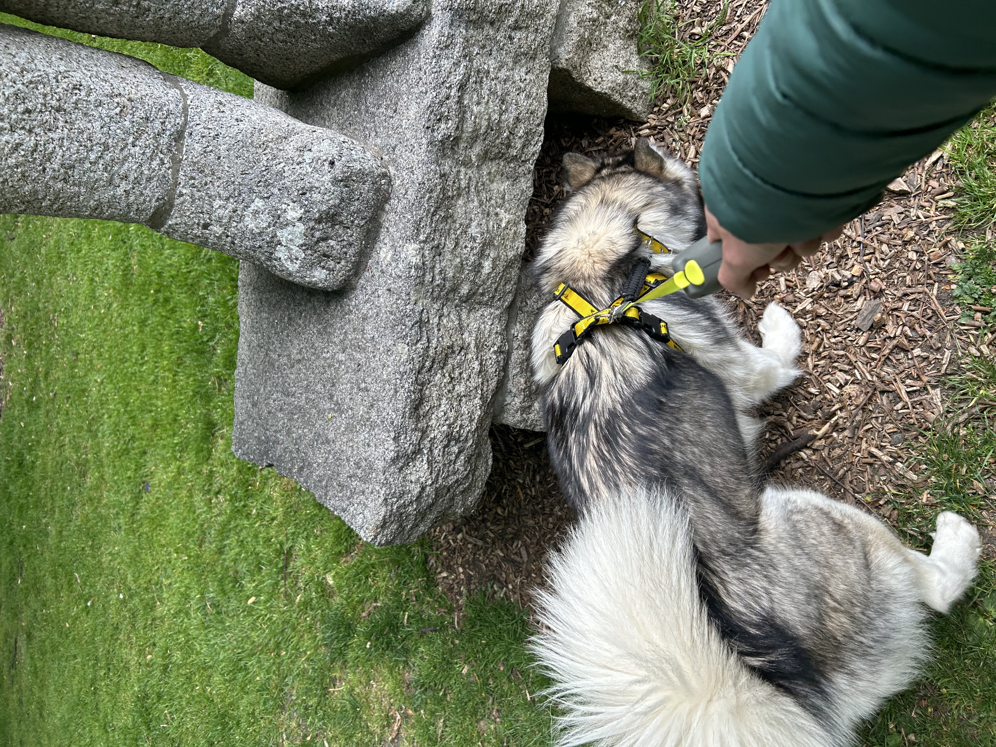 image-7
