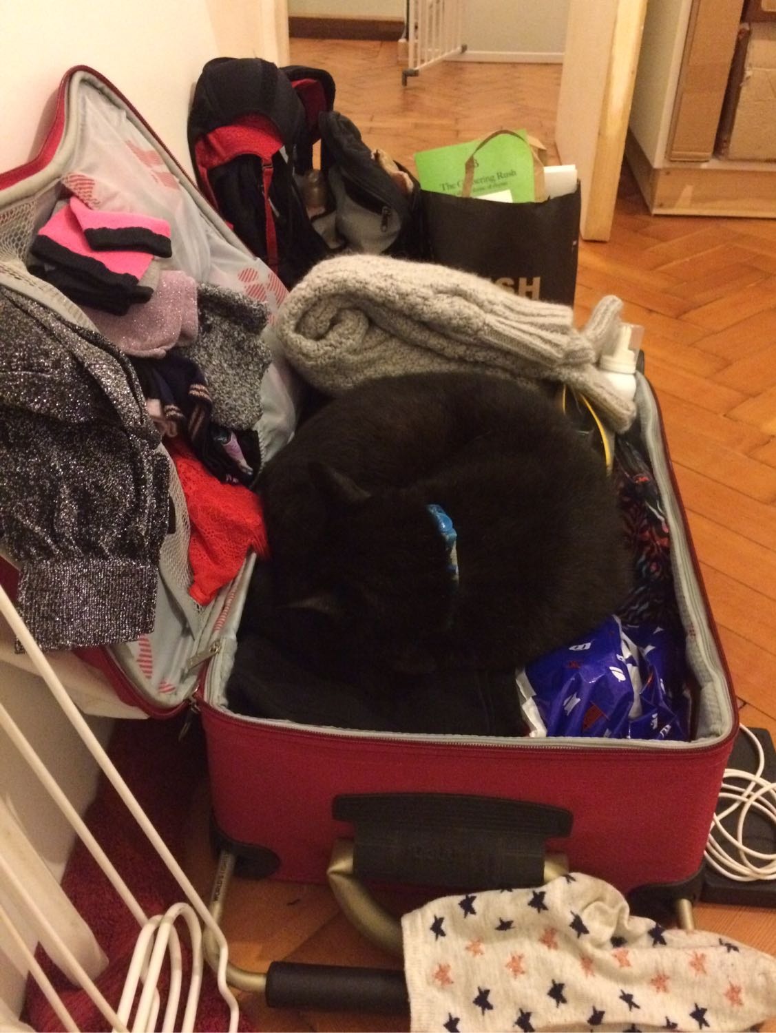 image-11