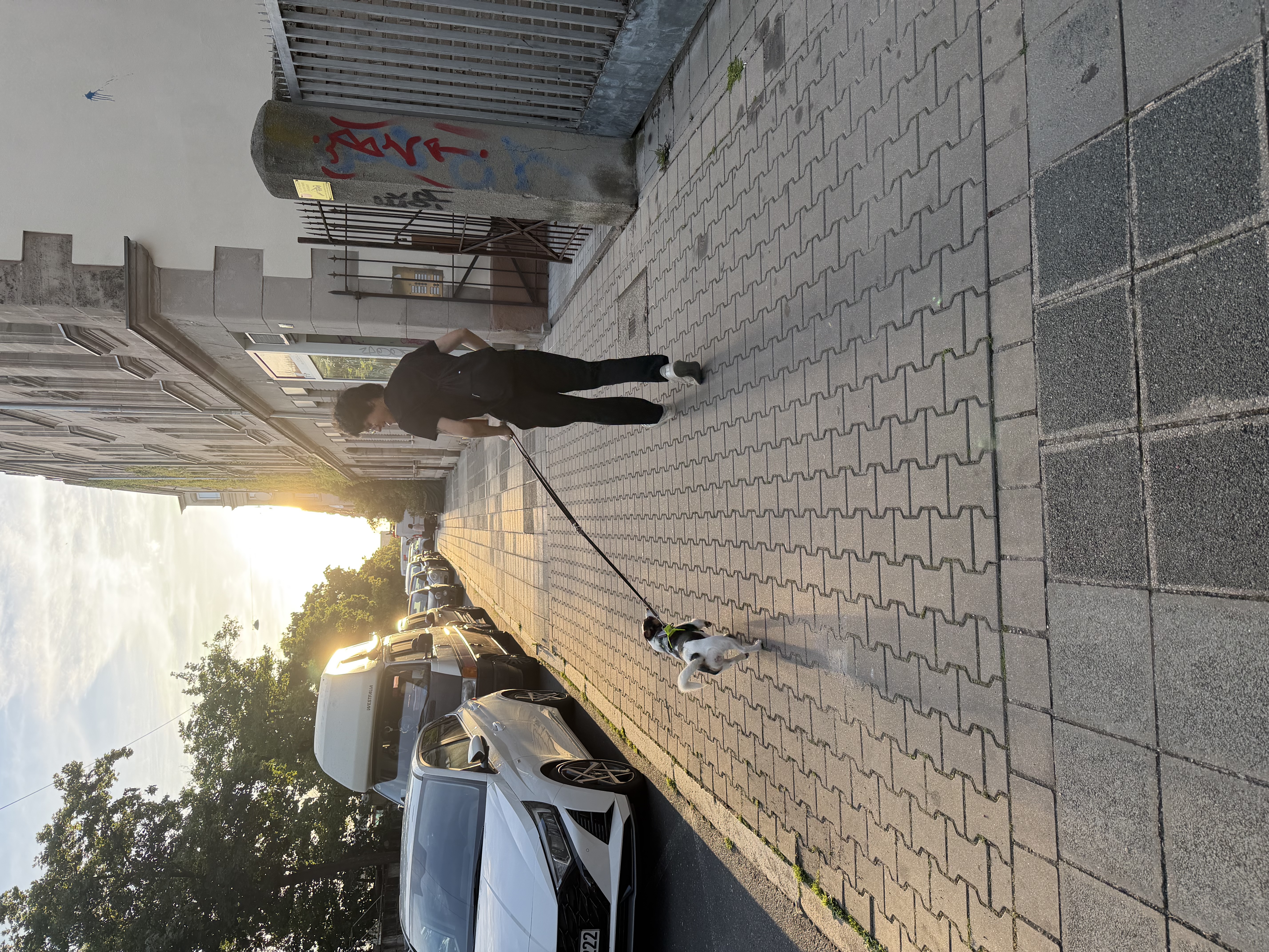 image-17
